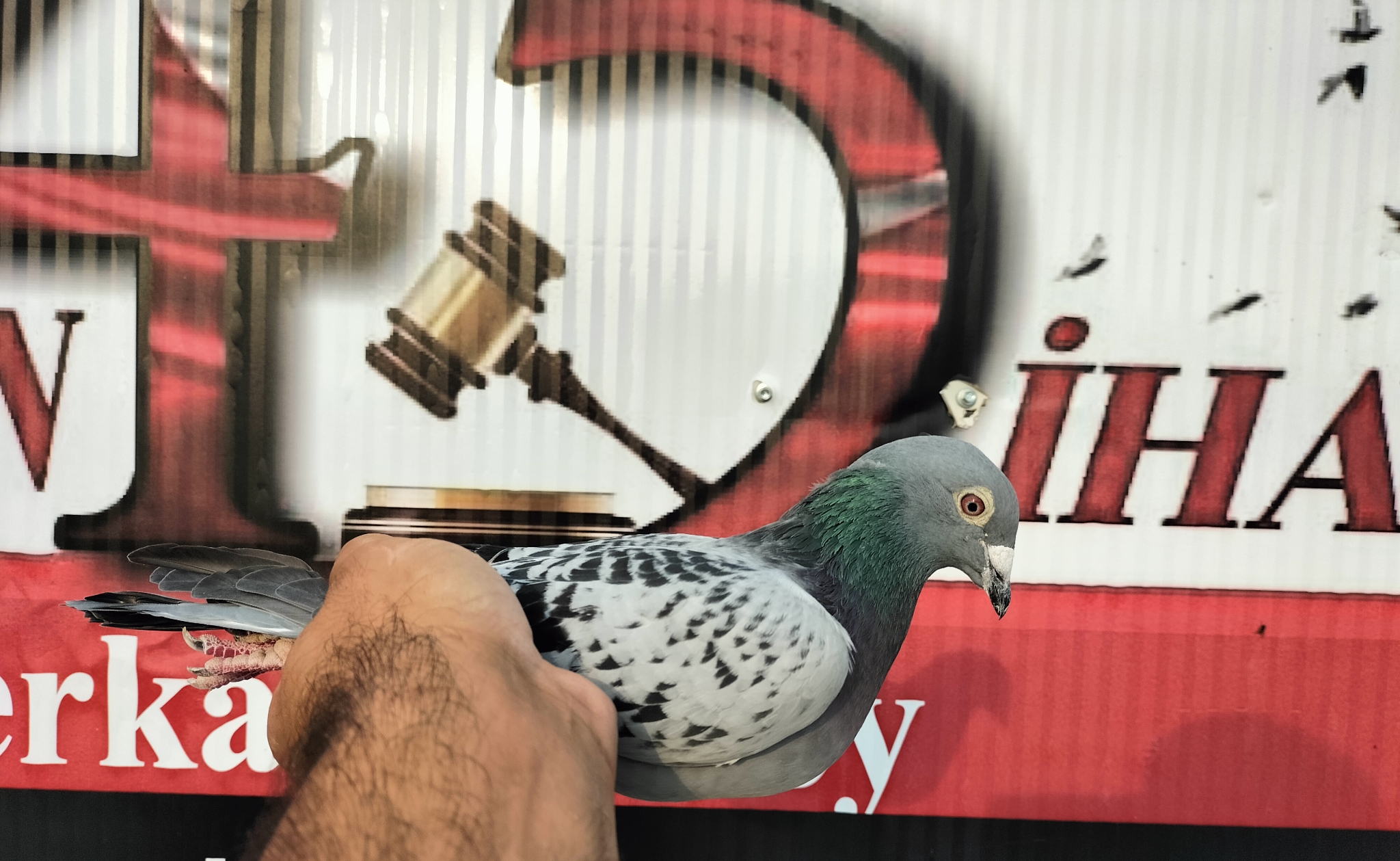 TR-21-047775 VAN DYCK DİRK KOOPMAN 