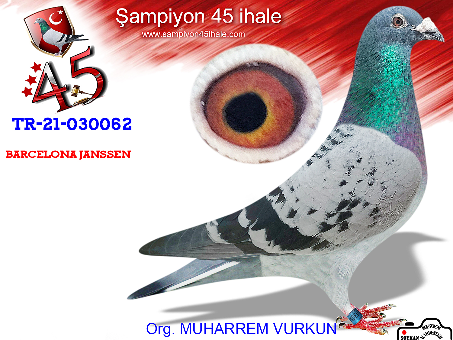 TR-21-030062 ERKEK 