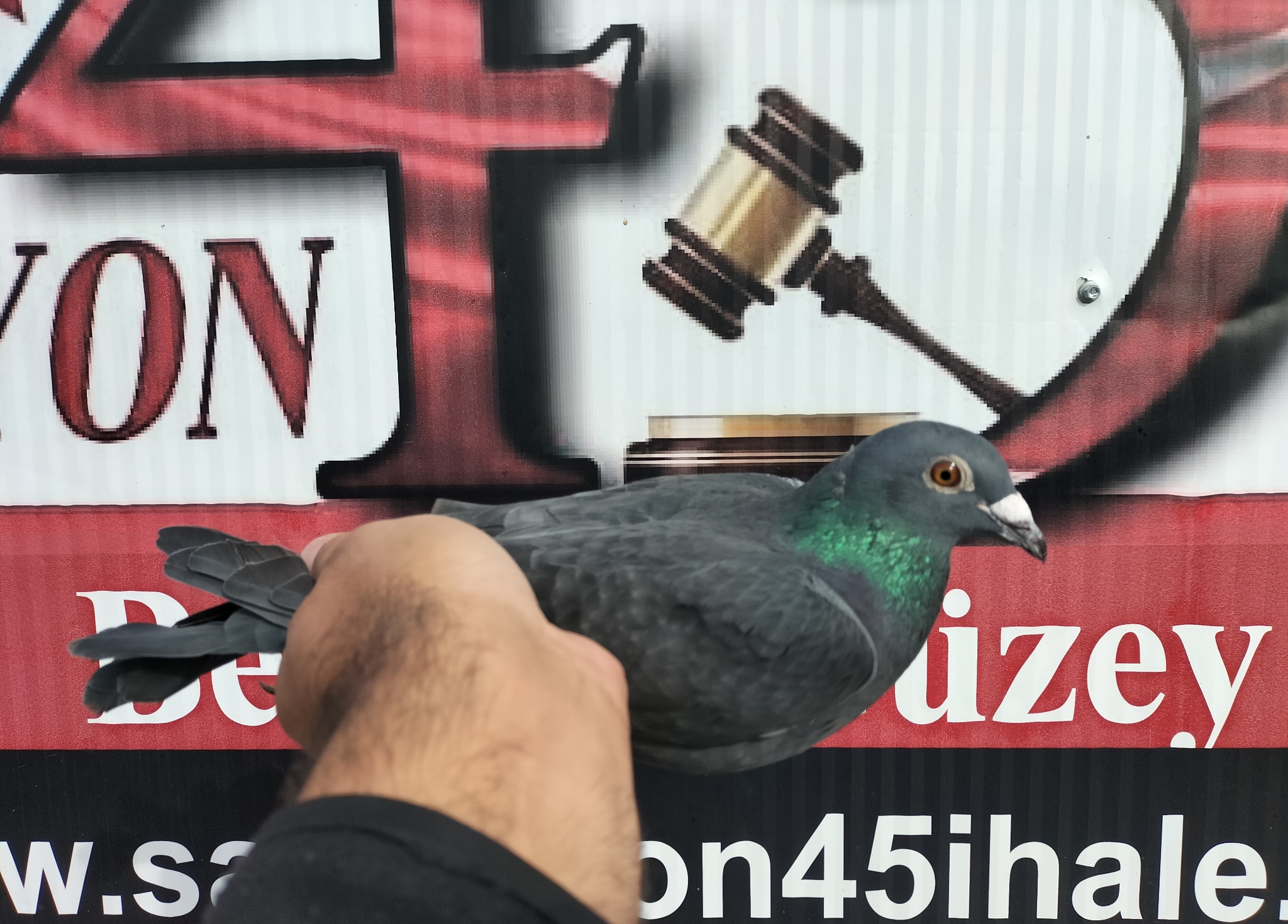 TR-25-45-15082 ORG YUSUF EGRİBOYUN 