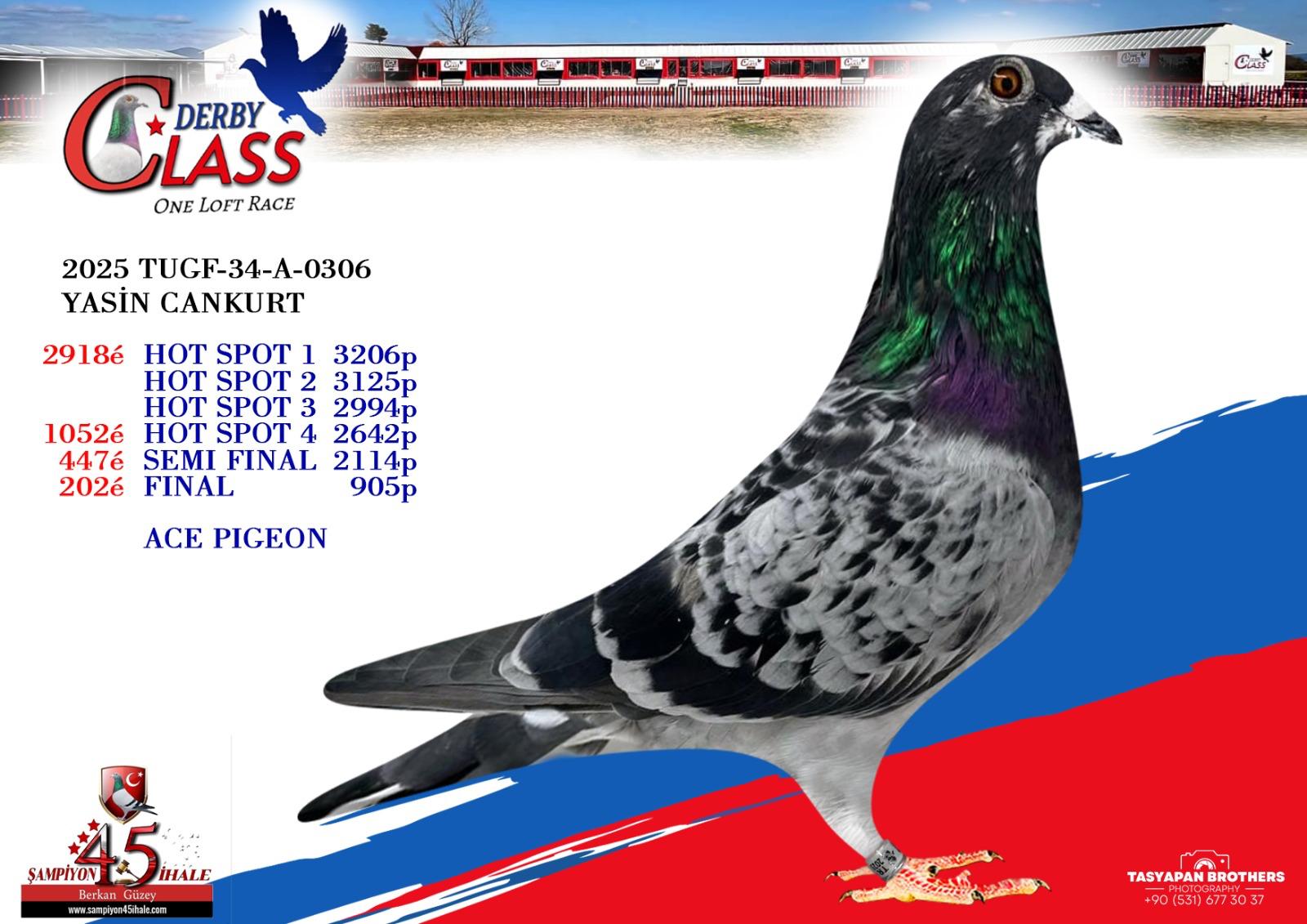 TUGF-34-A-0336 YASİN CANKURT