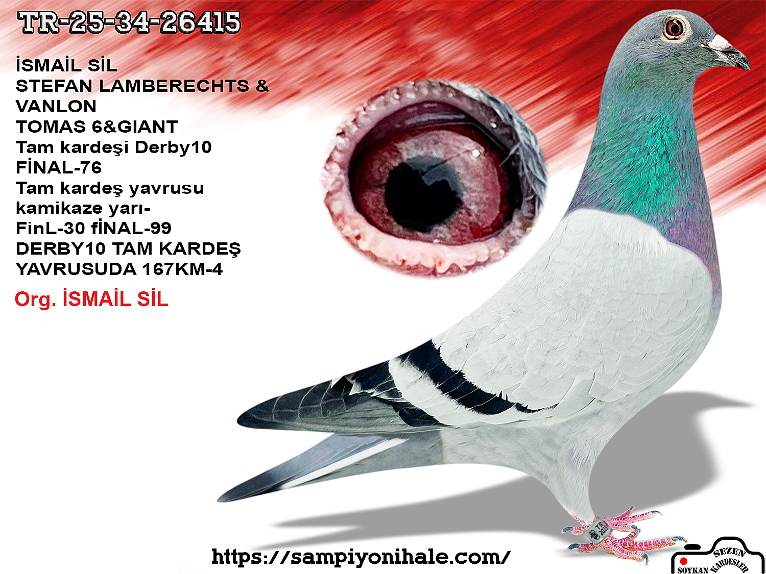 TR-25-34-26415 STEFAN LAMBERECHTS VAN LOON