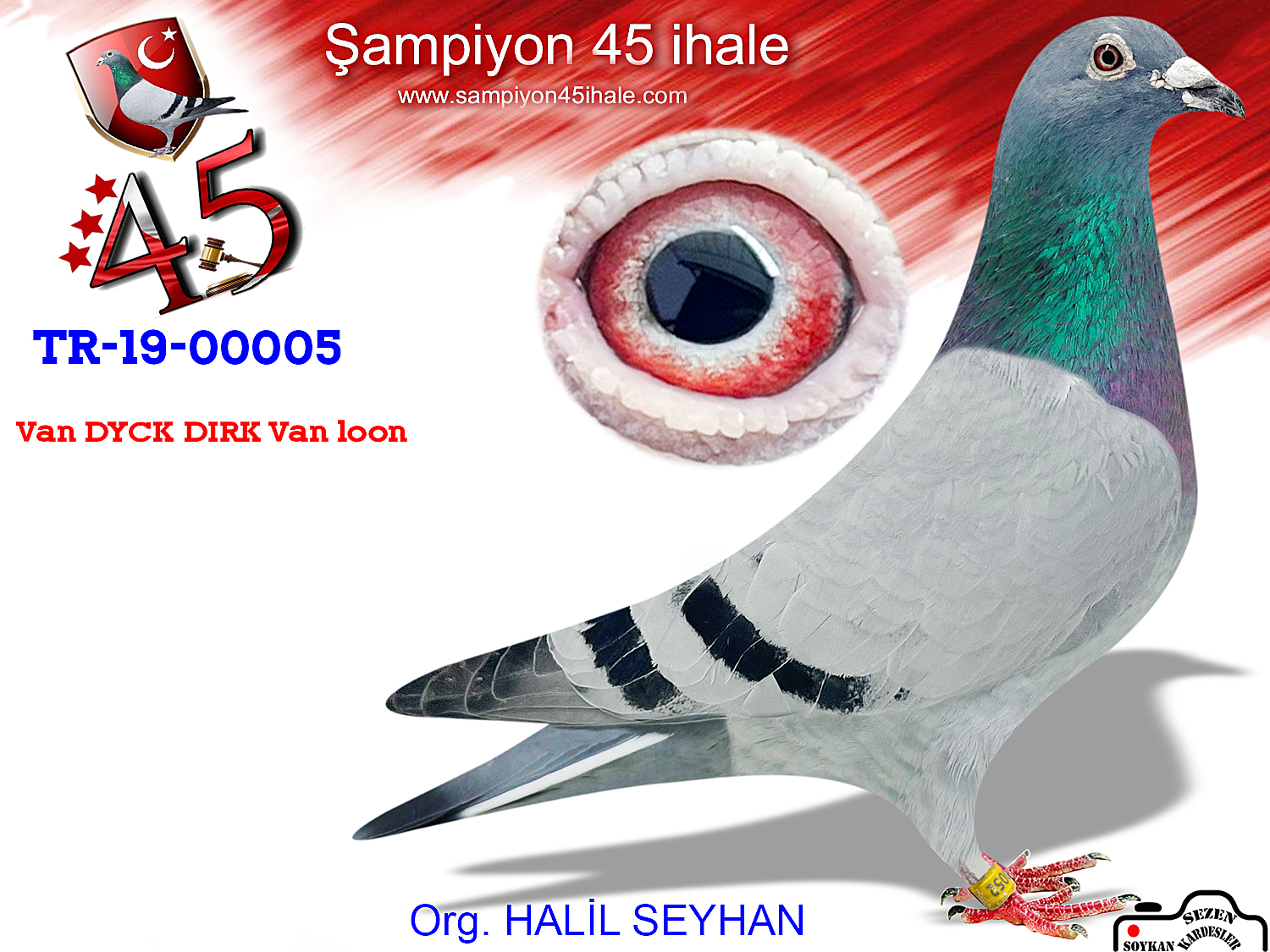 TR-19-00052 ERKEK 