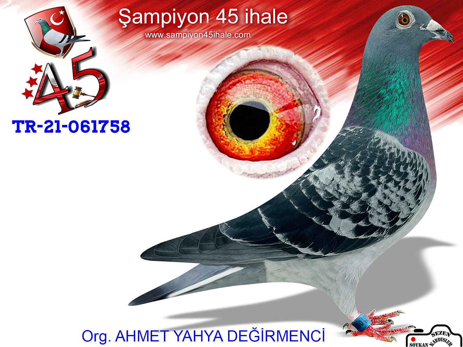 TR-21-061758 ERKEK 