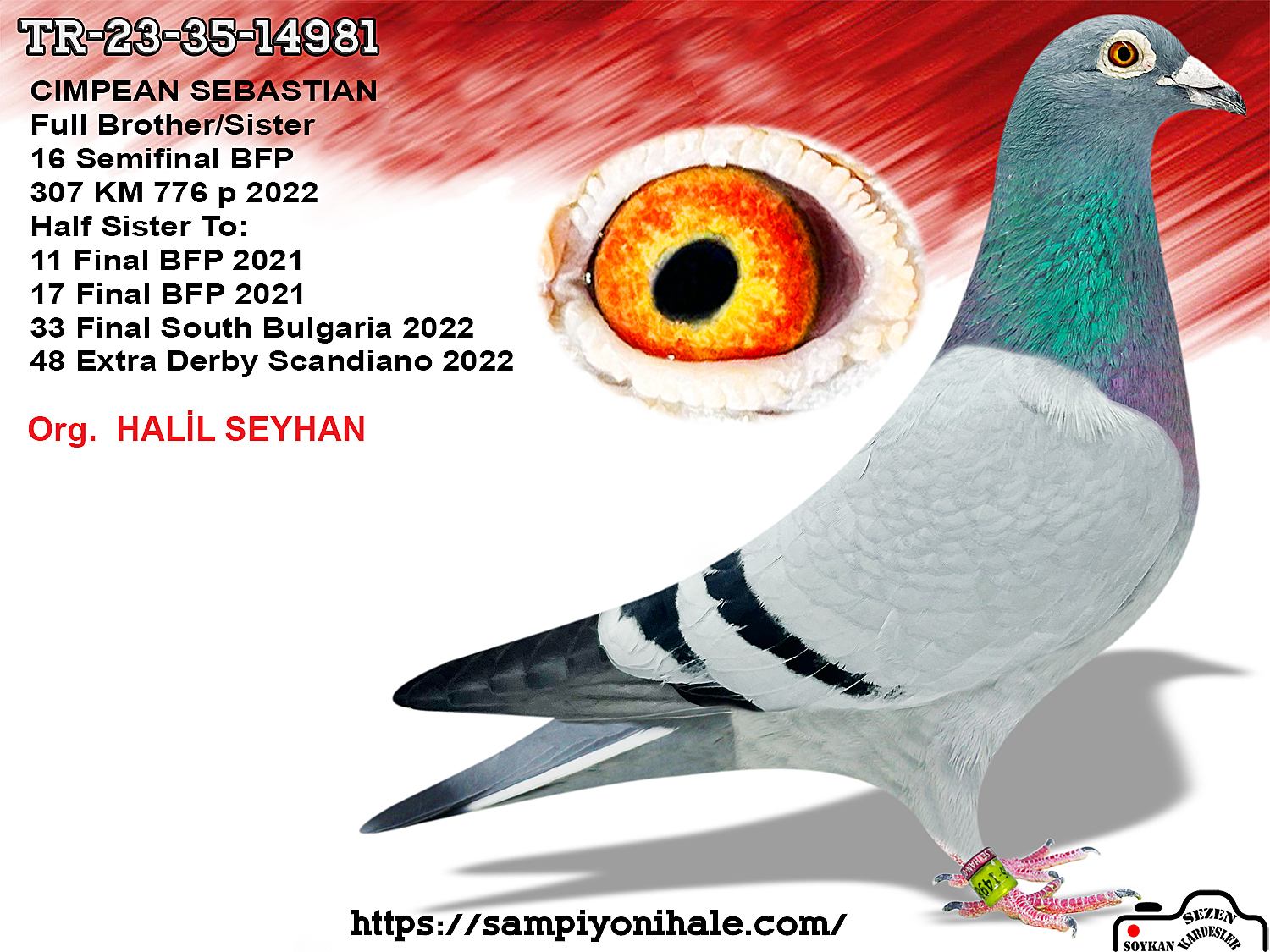 TR-23-35-14981 BEST KİTTEL ORNAT 