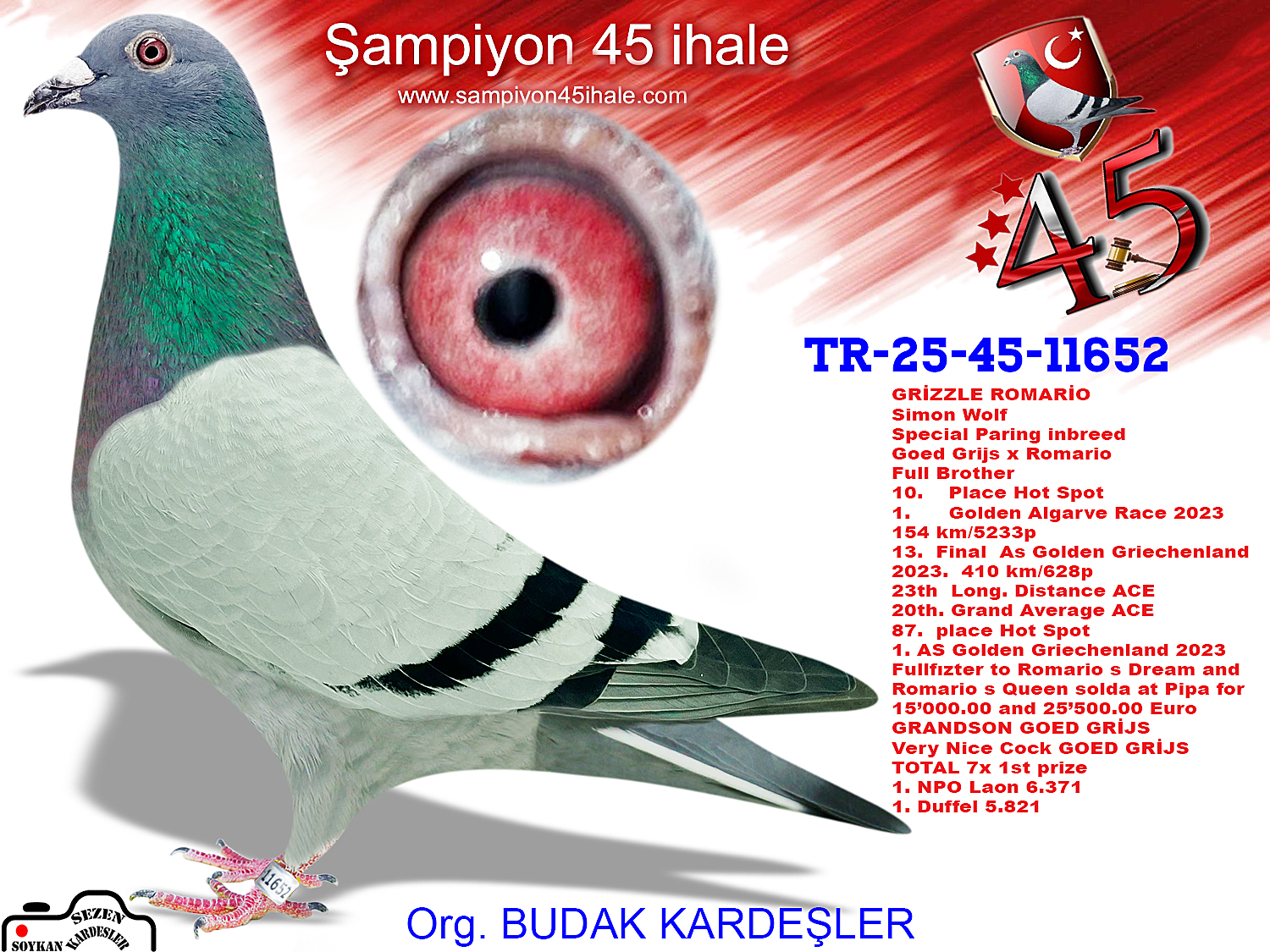 TR-25-45-11652 GRİZZLE ROMARİO SİMON WOLF 