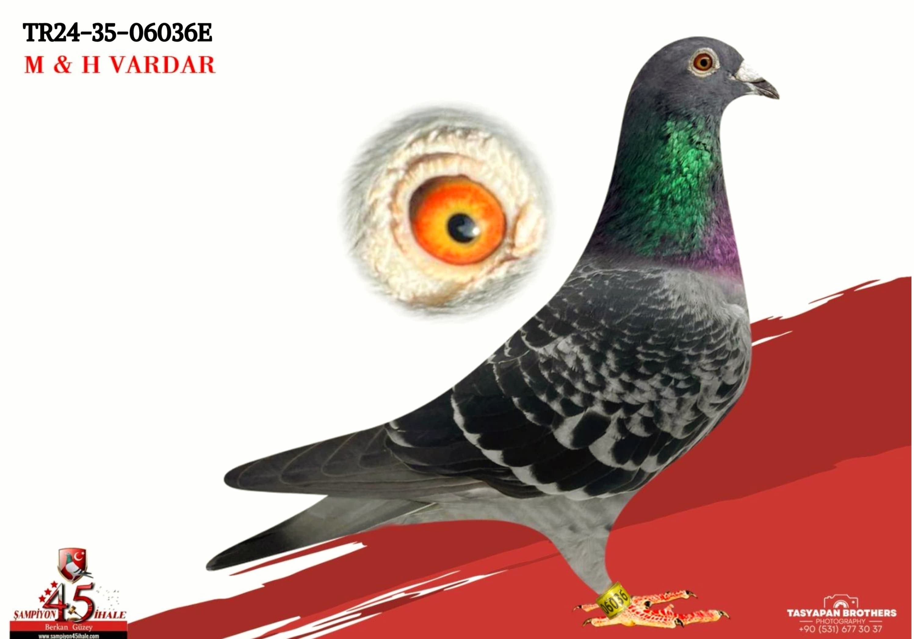 TR-24-35-06036 M & H VARDAR KARDEŞLER 