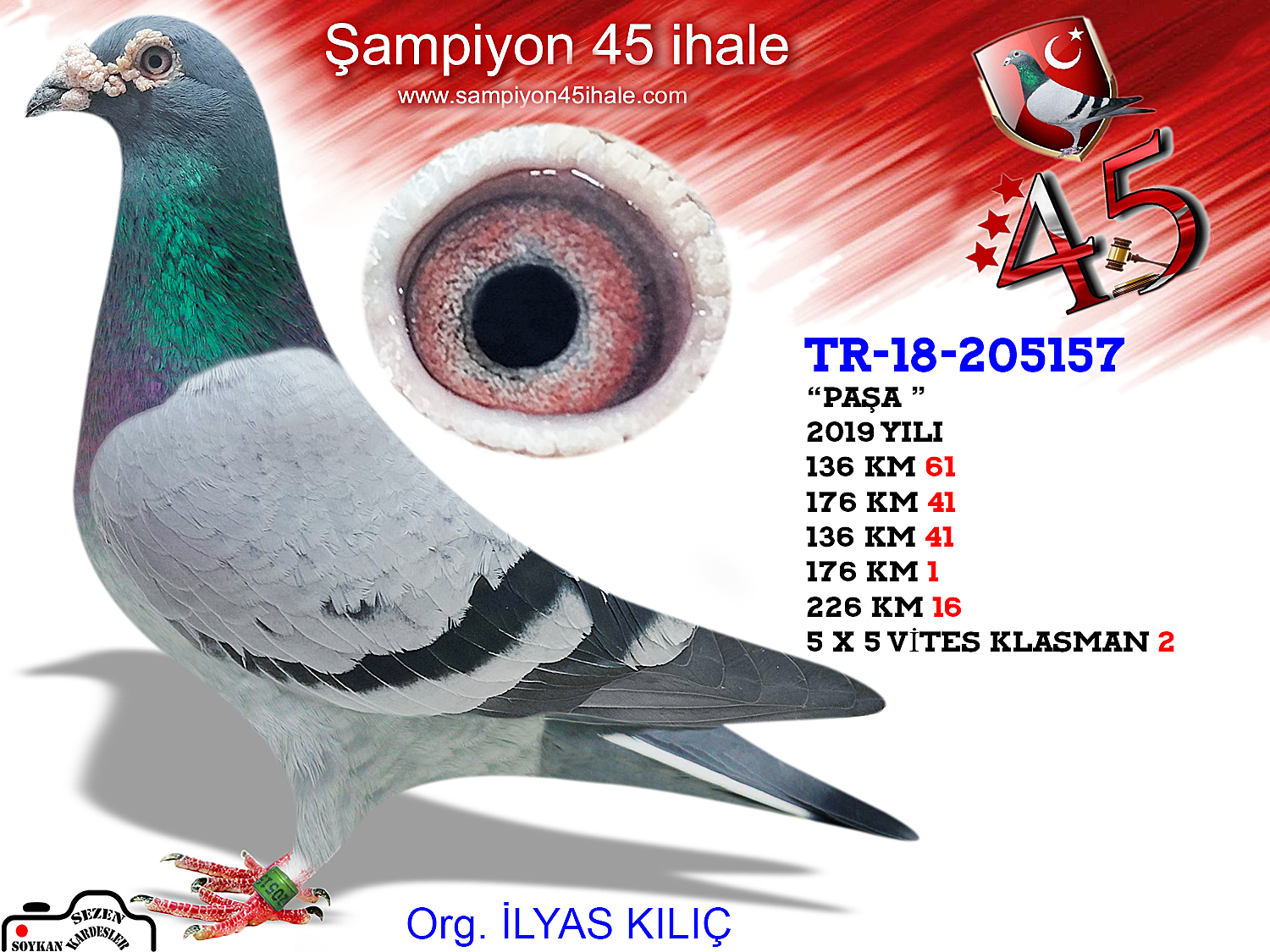TR-18-205157 ERKEK 