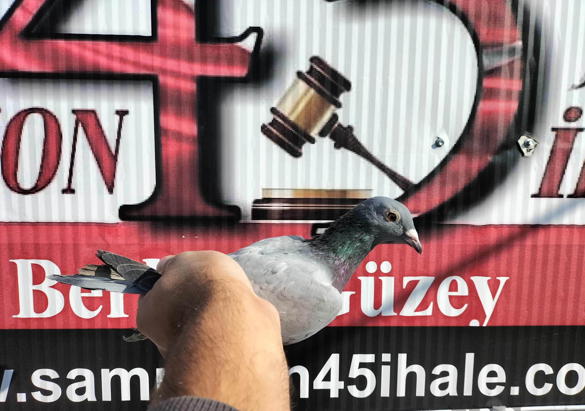 TR-25-35-12174 ORG TEAM SMYRNA 