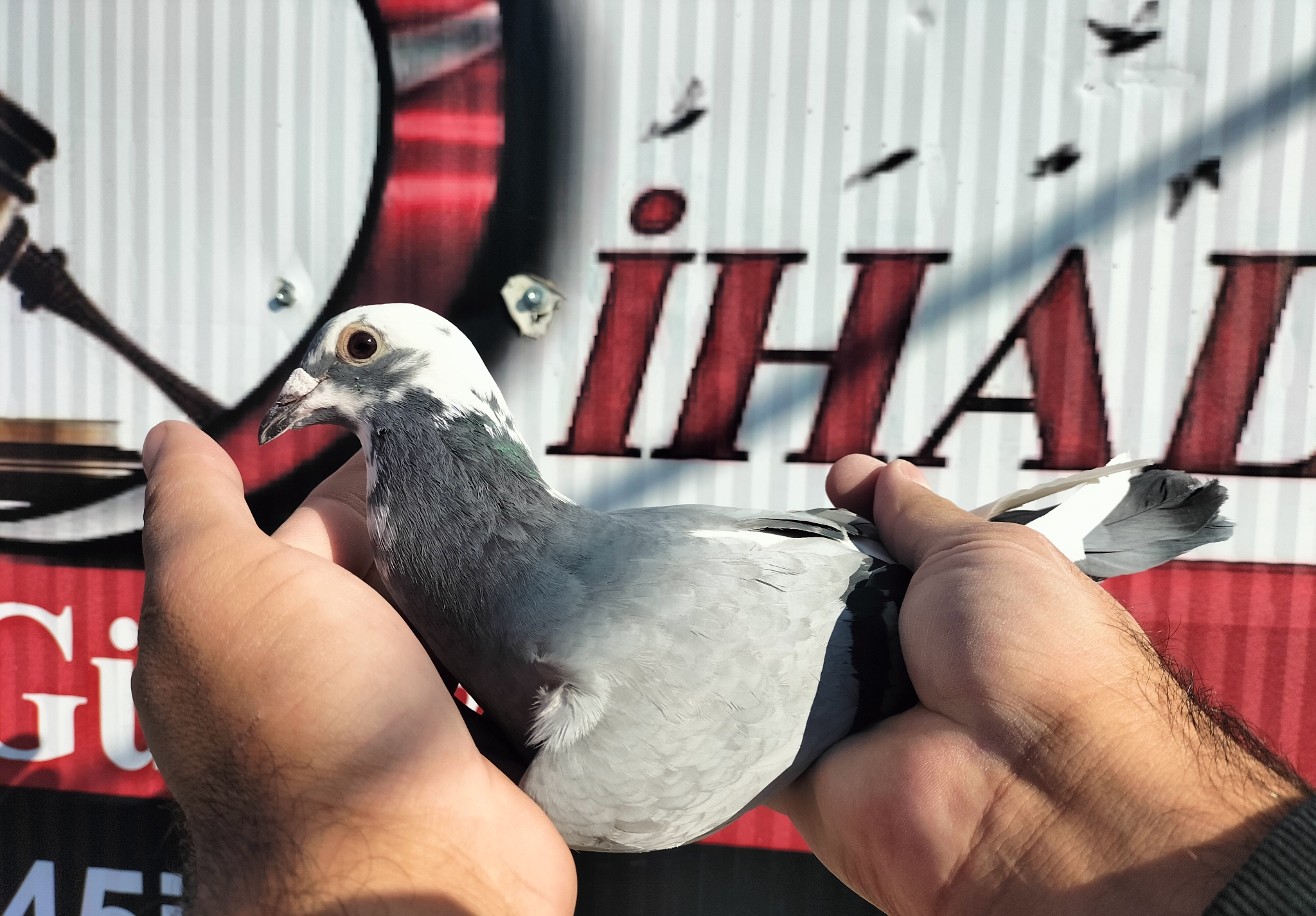 TR-25-63-22041 ORG MURAT COŞKUN 