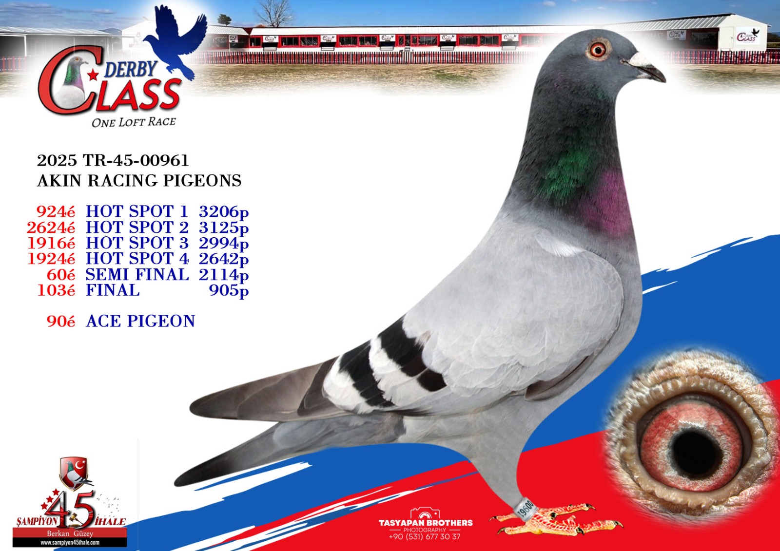 TR-45-00961 AKIN RACING PIGEON