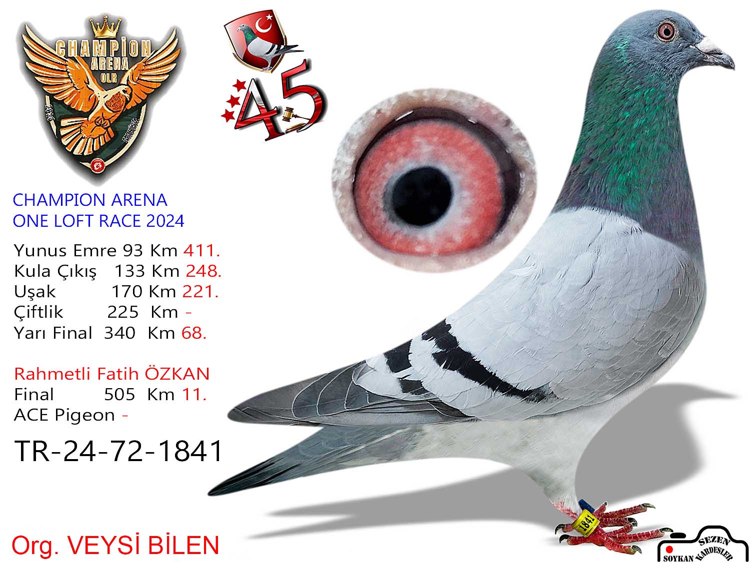 TR-24-72-1841 DİŞİ