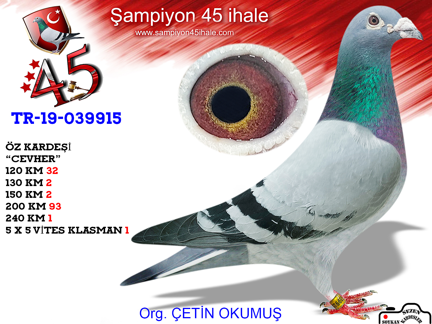TR-19-039915 ERKEK 