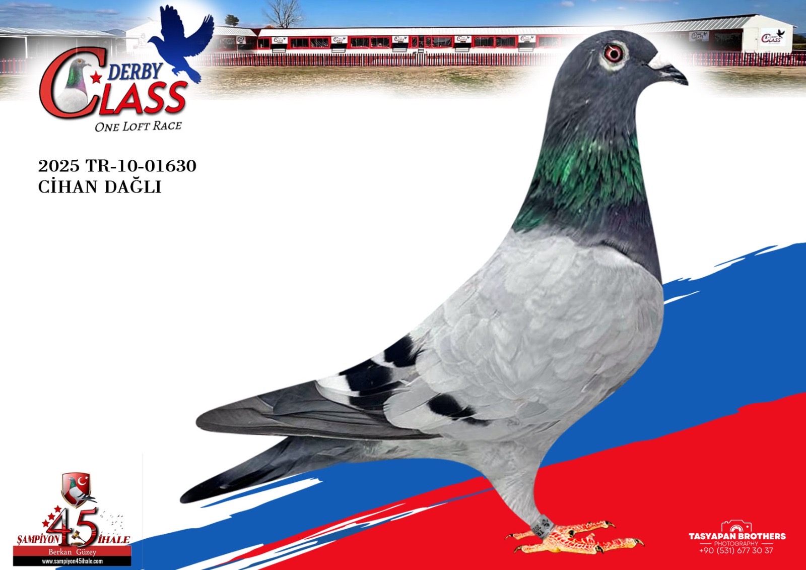 TR-10-01630 CİHAN DAĞLI