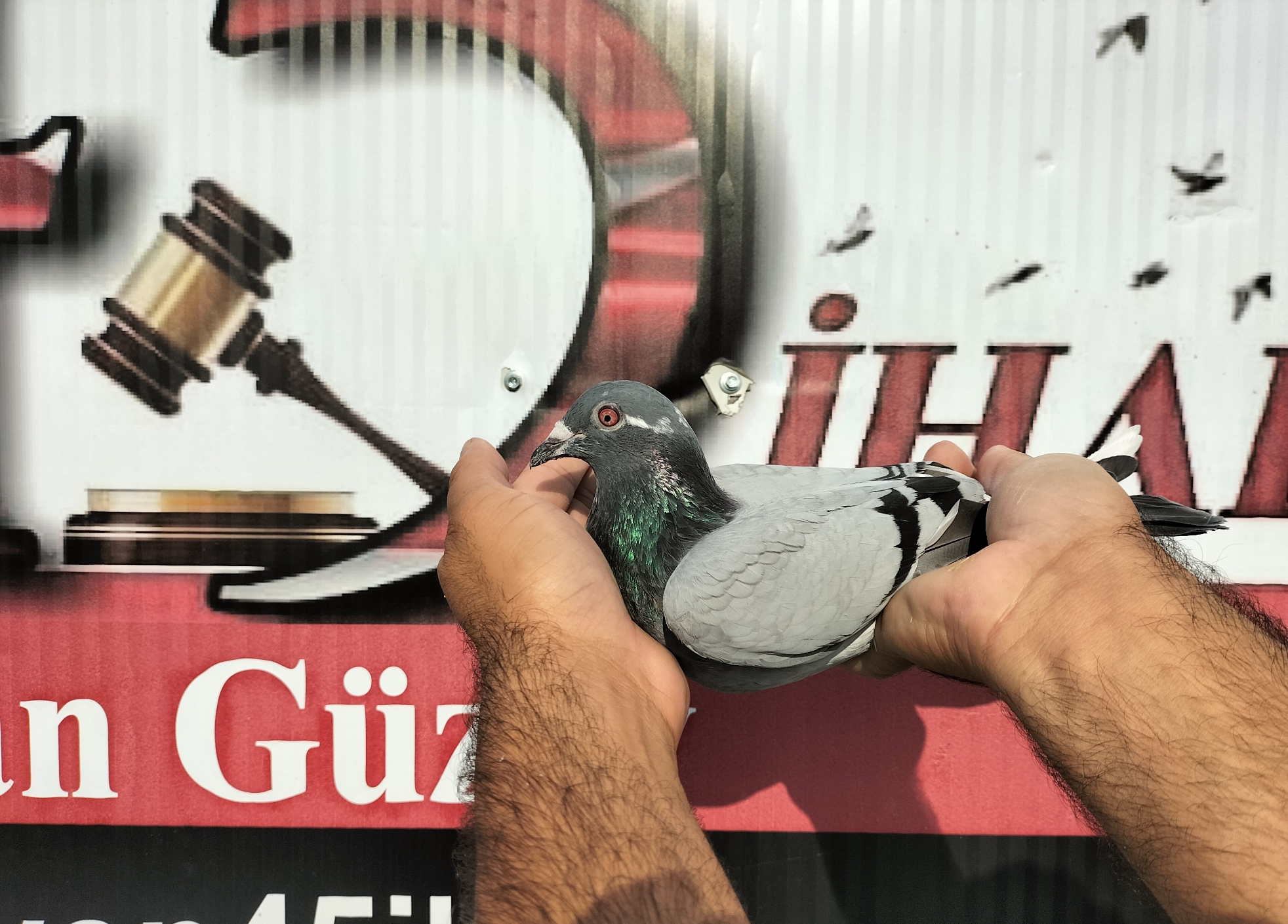 TR-10-04003 NECMİ ÇAKAR 