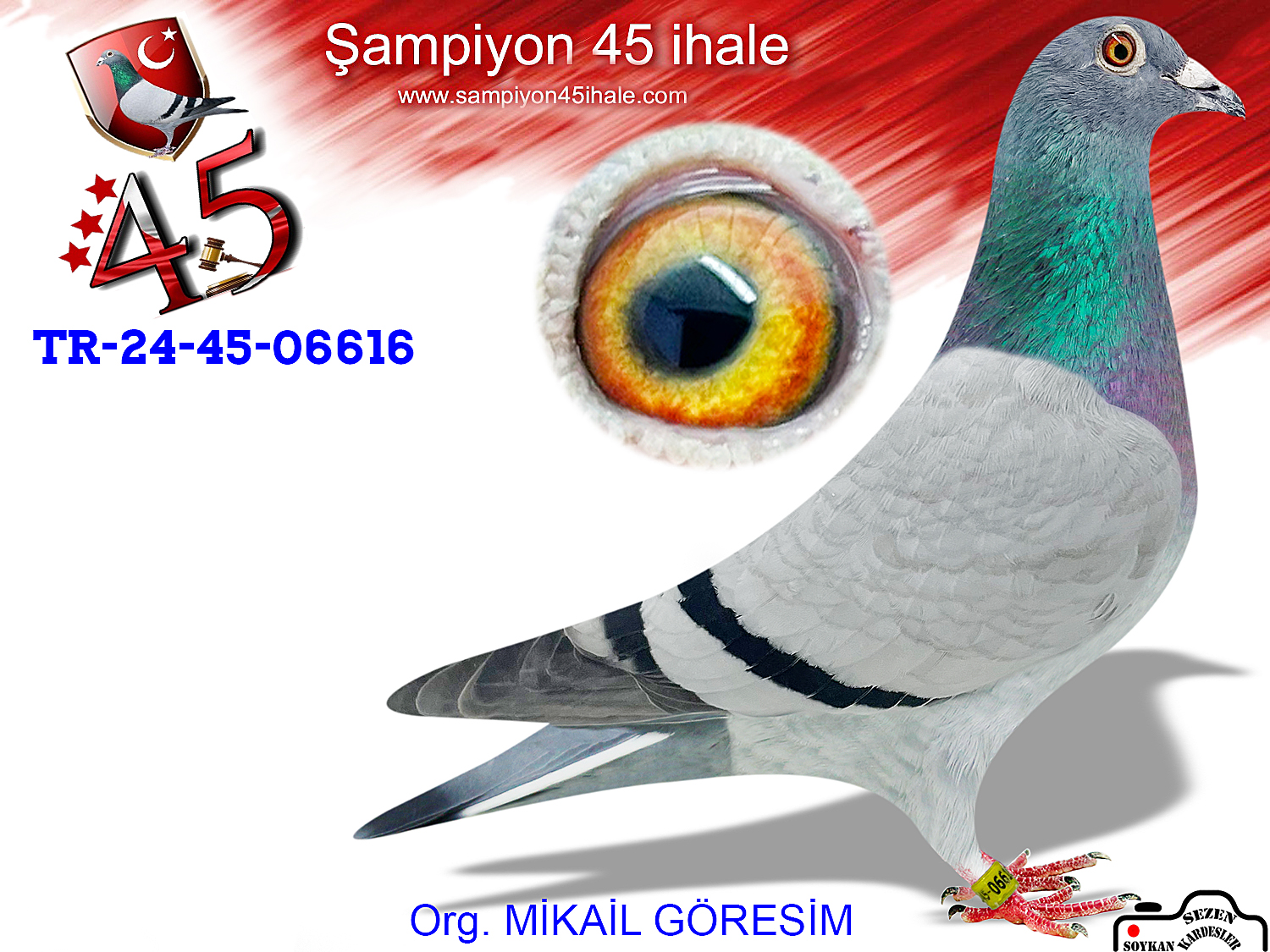 TR-24-45-06616 DİŞİ