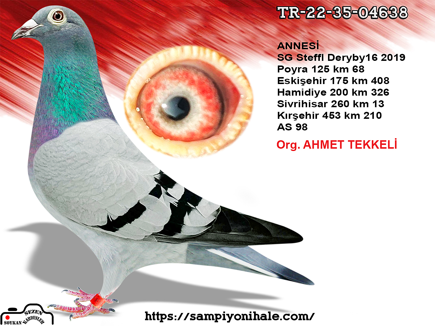 TR-22-35-04638 ANNESİ DERBY 16 260 KM 13 SG STEFFL 