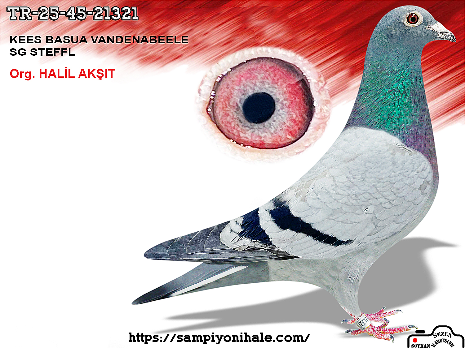 TR-25-45-21321 KEES BASUA SG STEFFL 