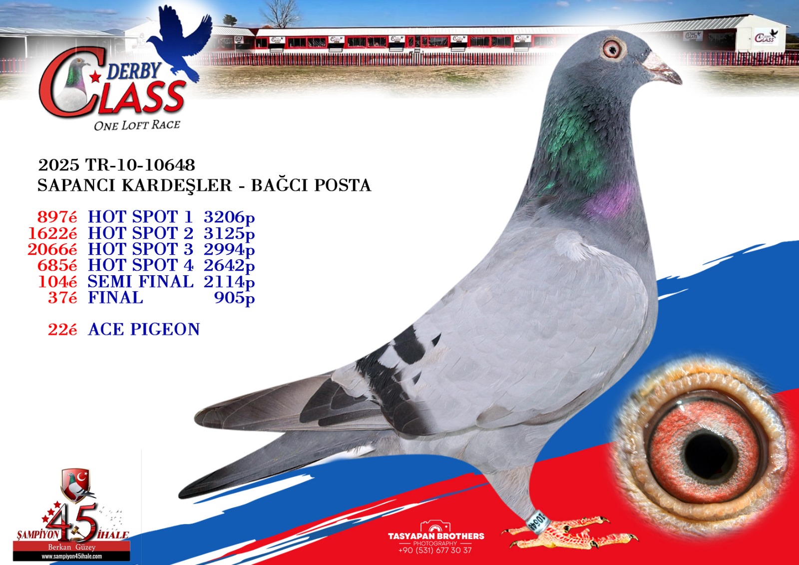 TR-10-10648 FİNAL 37 ACE PİGEON 22 SAPANCI KARDEŞLER BAĞCI POSTA