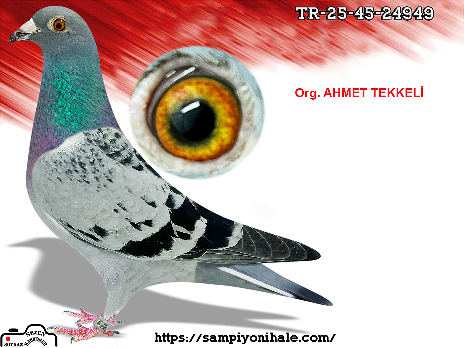 TR-25-45-24949 ORG AHMET TEKKELİ ZG HELİOS 