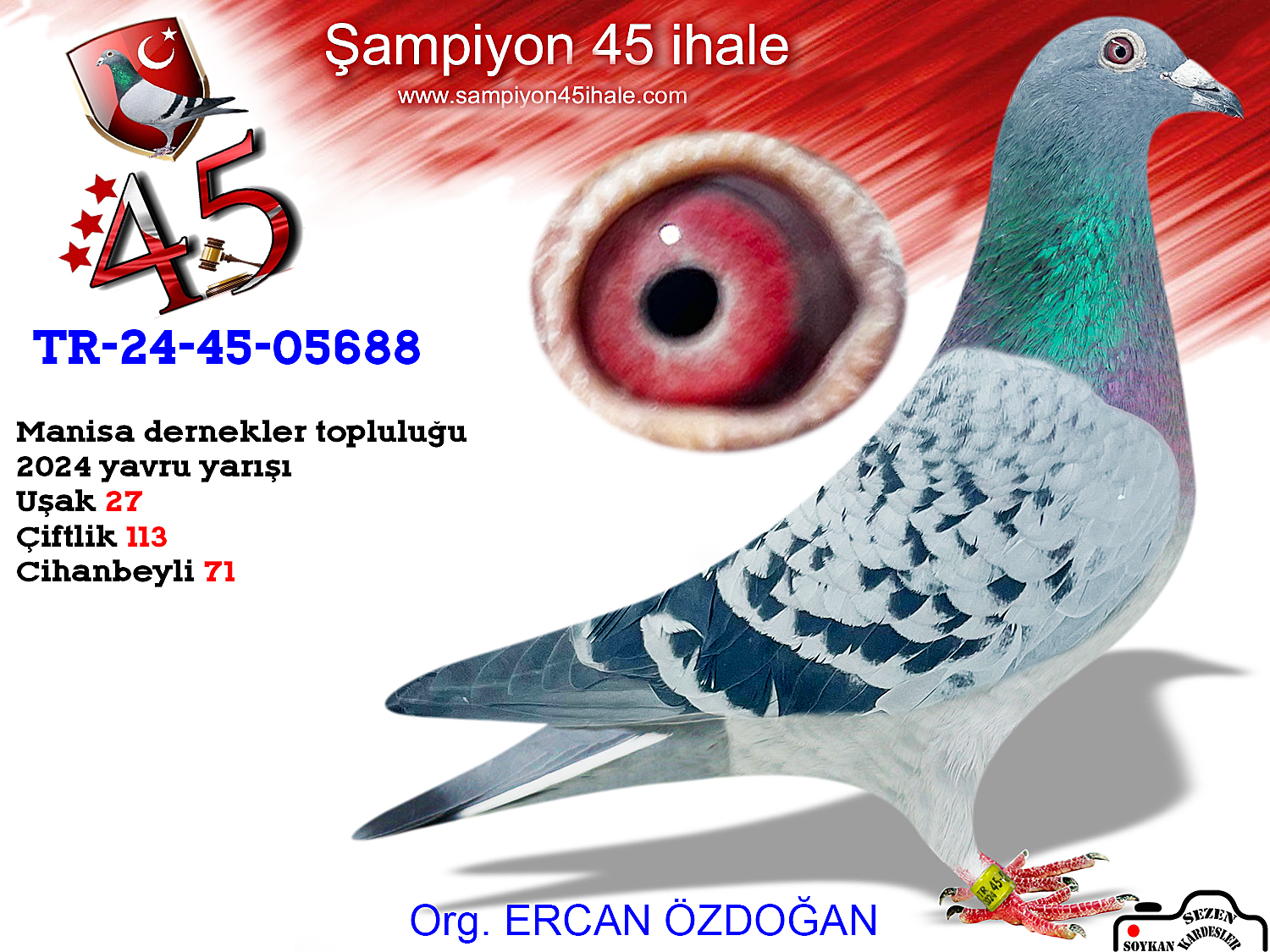 TR-24-45-05688 DİŞİ