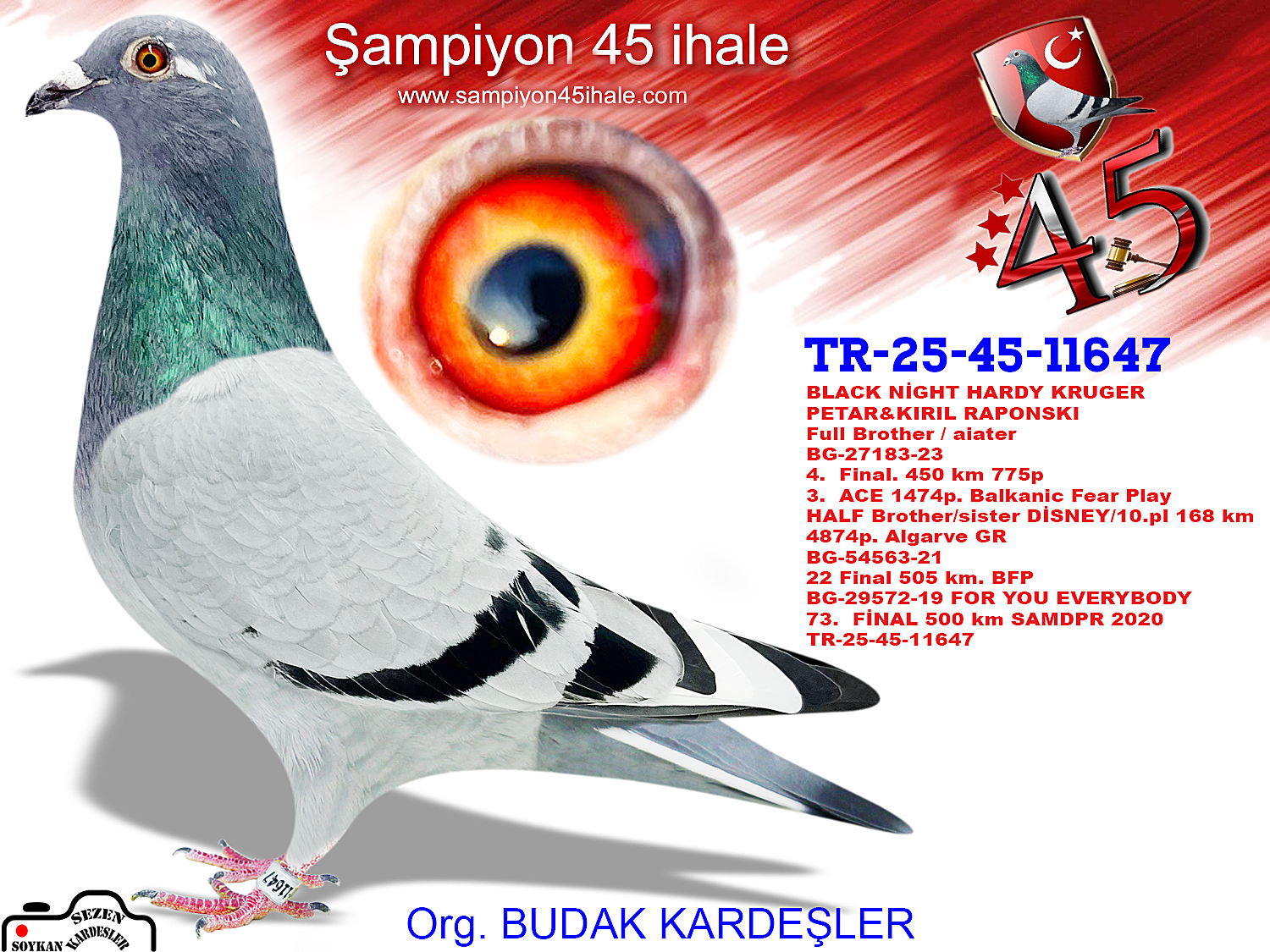 TR-25-45-11647 PETAR&KIRIL RAPONSKI BLACK NIGHT 