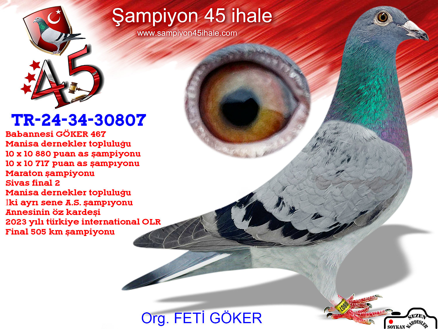 TR-24-34-30807 DİŞİ