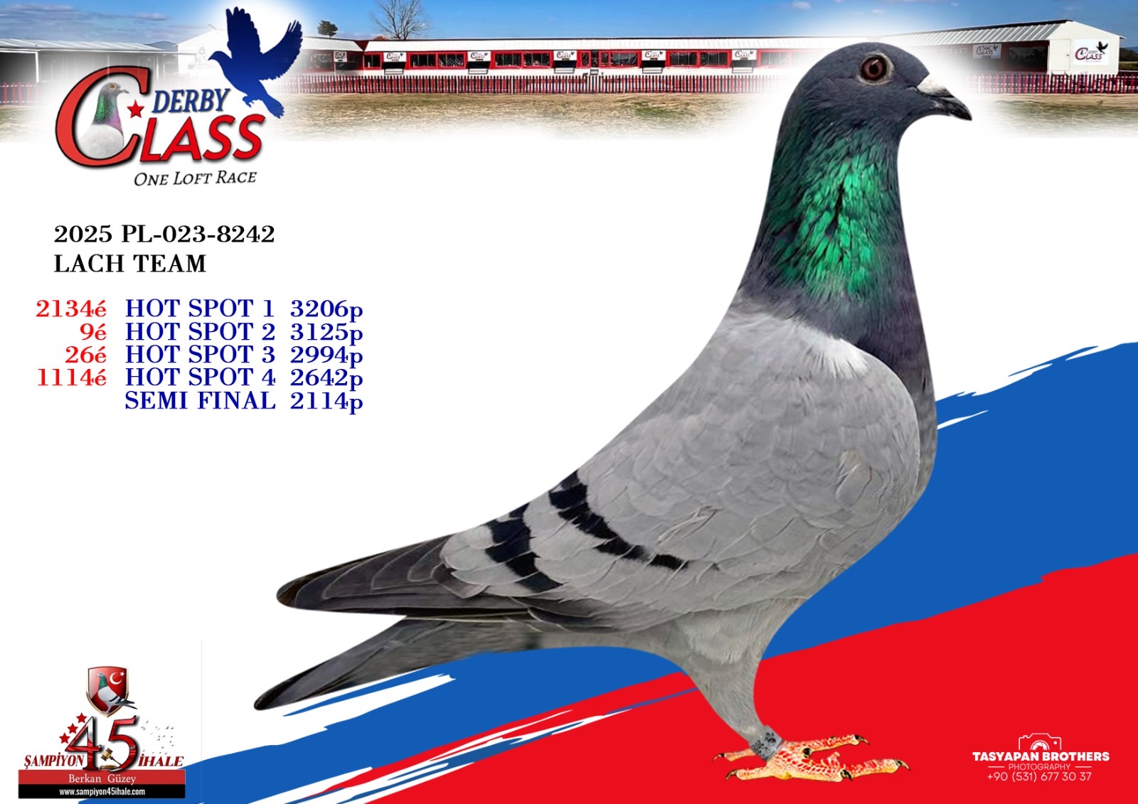 PL-023-8242 LACH TEAM