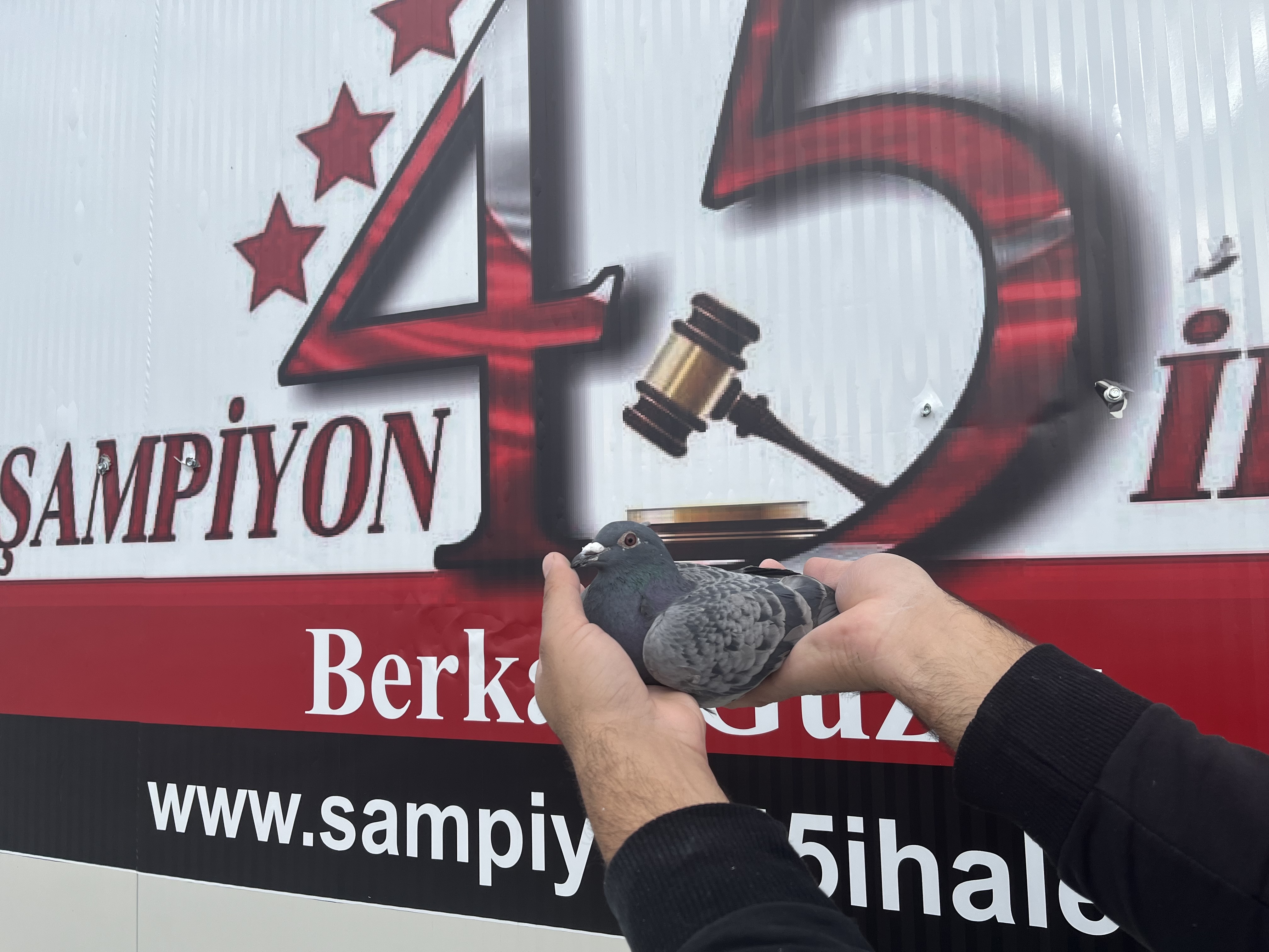 TR-24-45-11825 DİŞİ