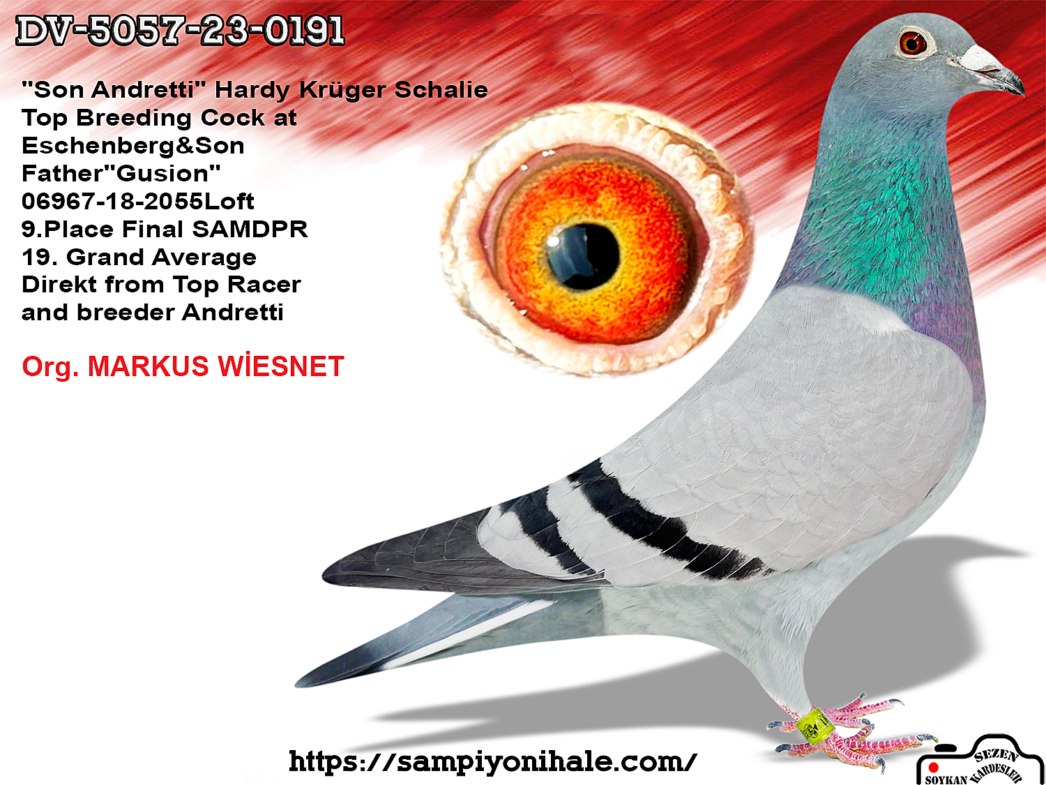 DV-5057-23-0191 HARDY KRÜGER SG STEFFL 