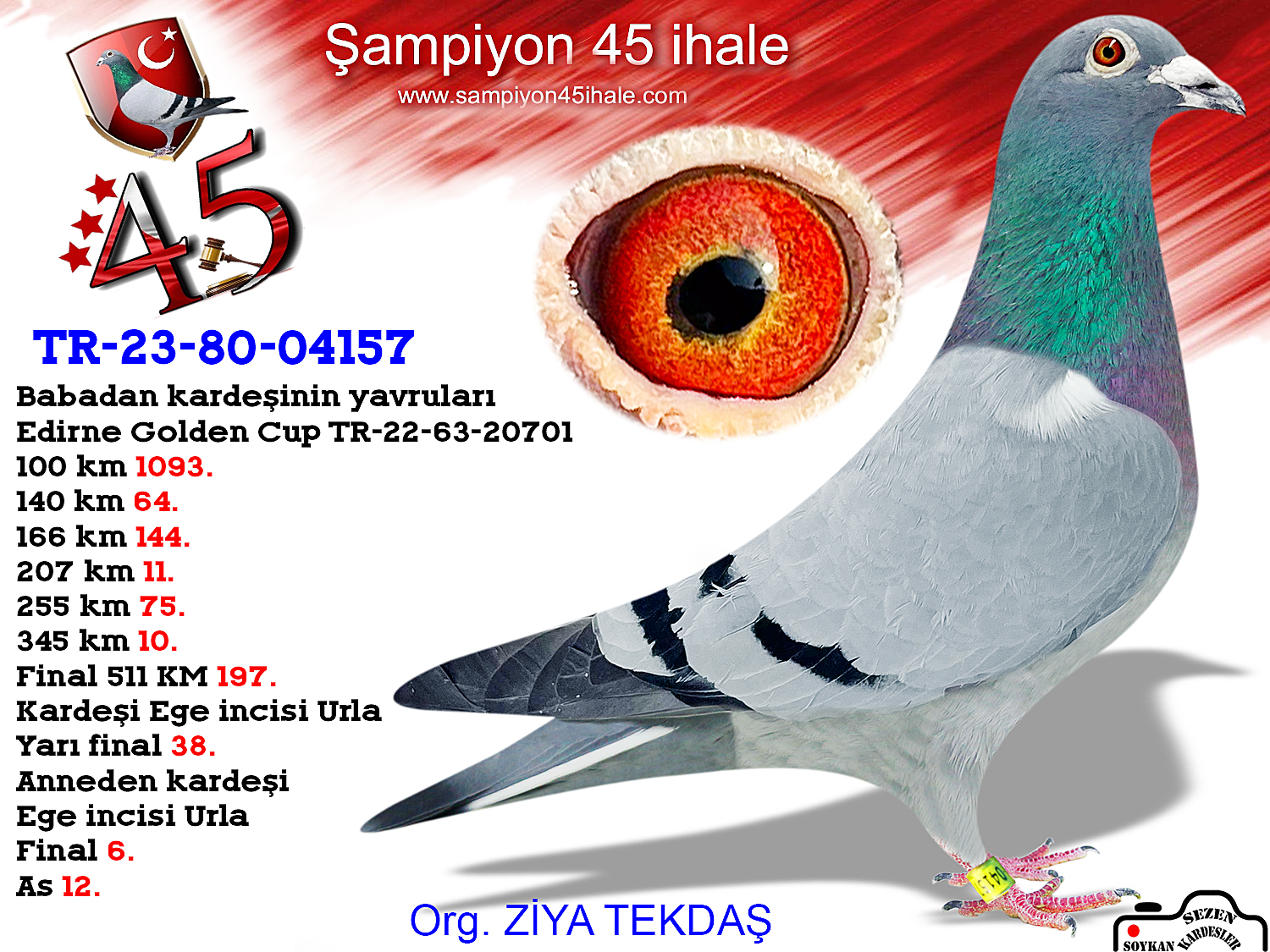 TR-23-80-04157 ERKEK 