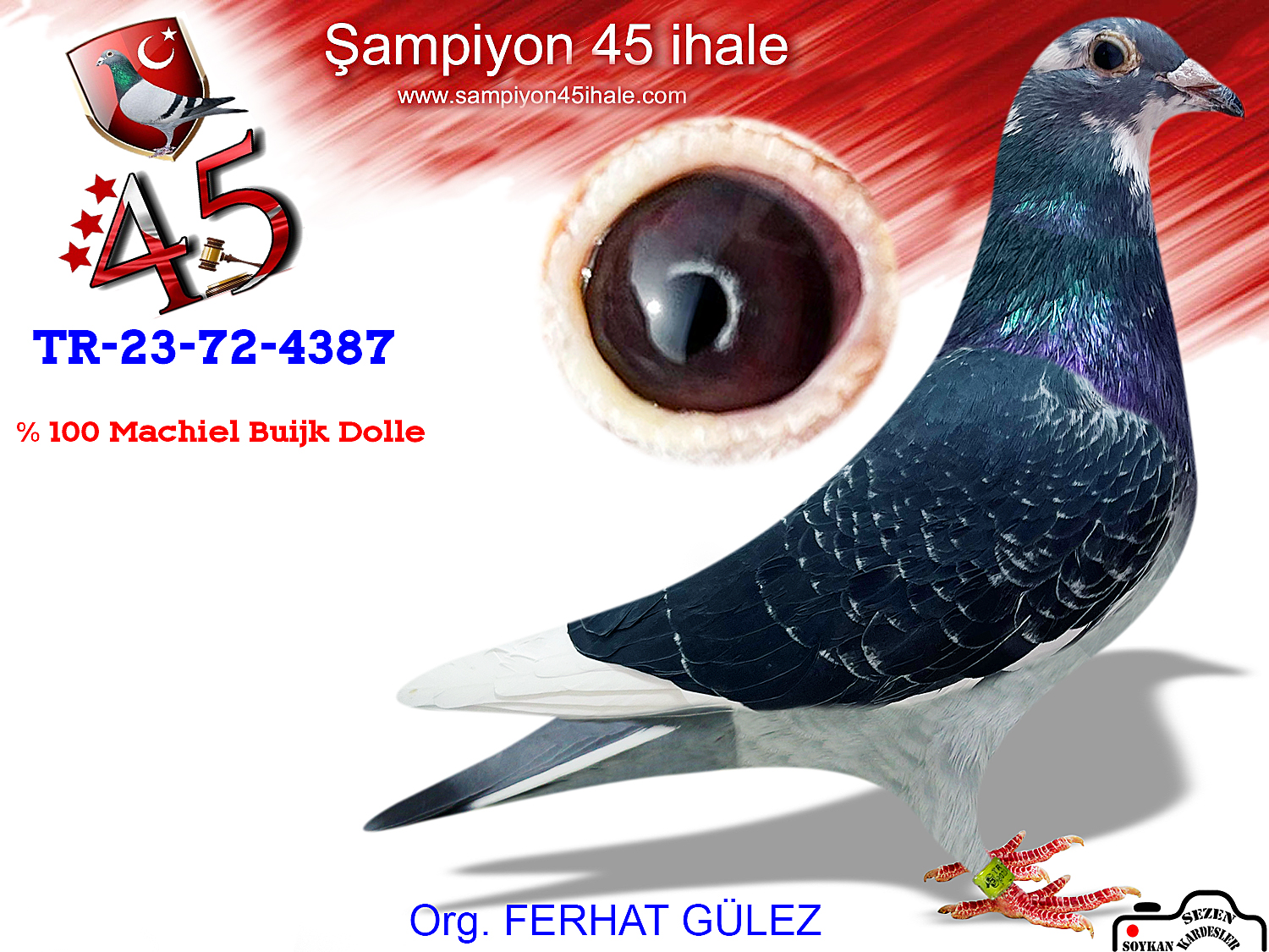 TR-23-72-4387 DİŞİ