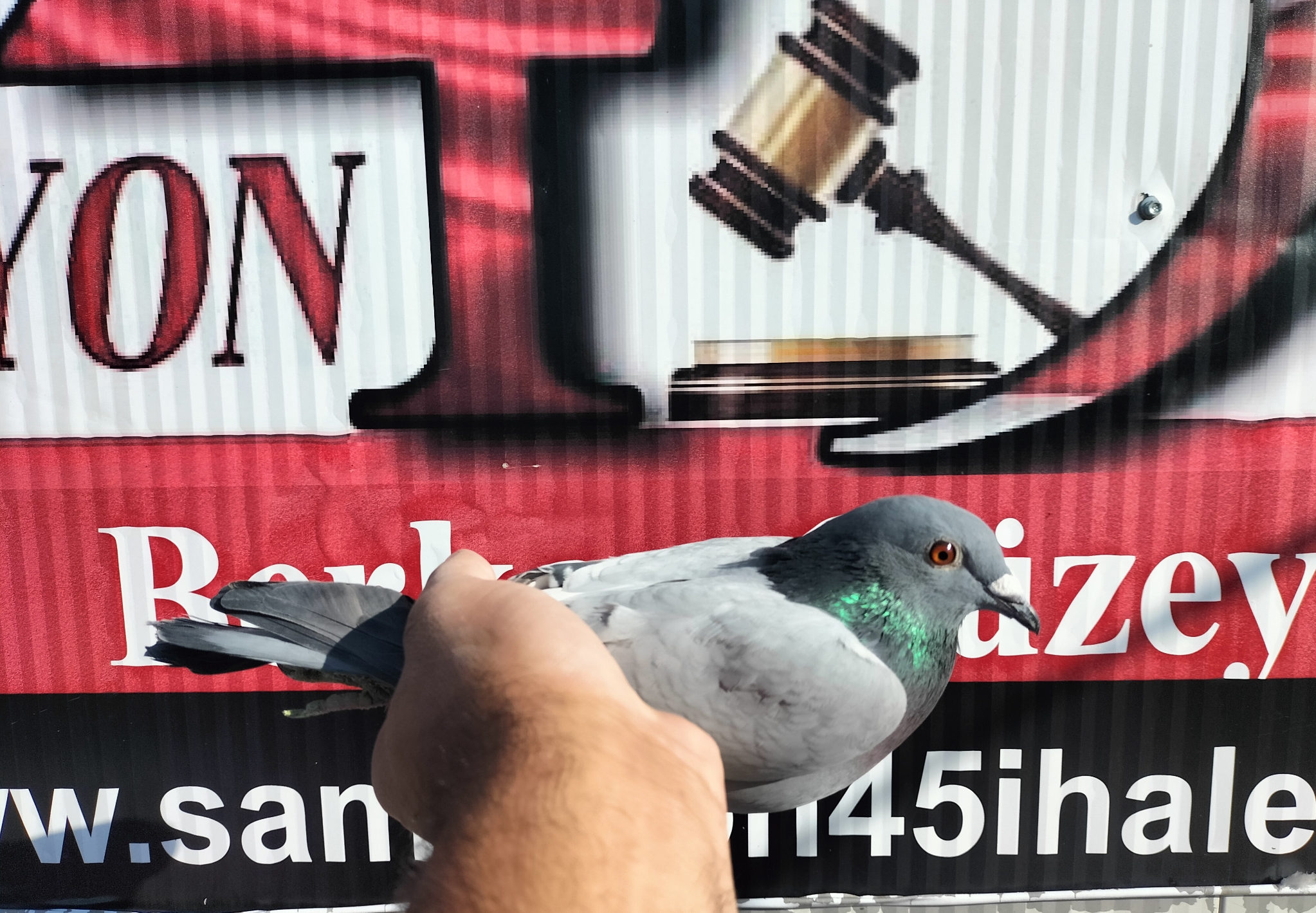 TR-25-27-09089 ORG MUHAMMED ALİ AKTAŞ 