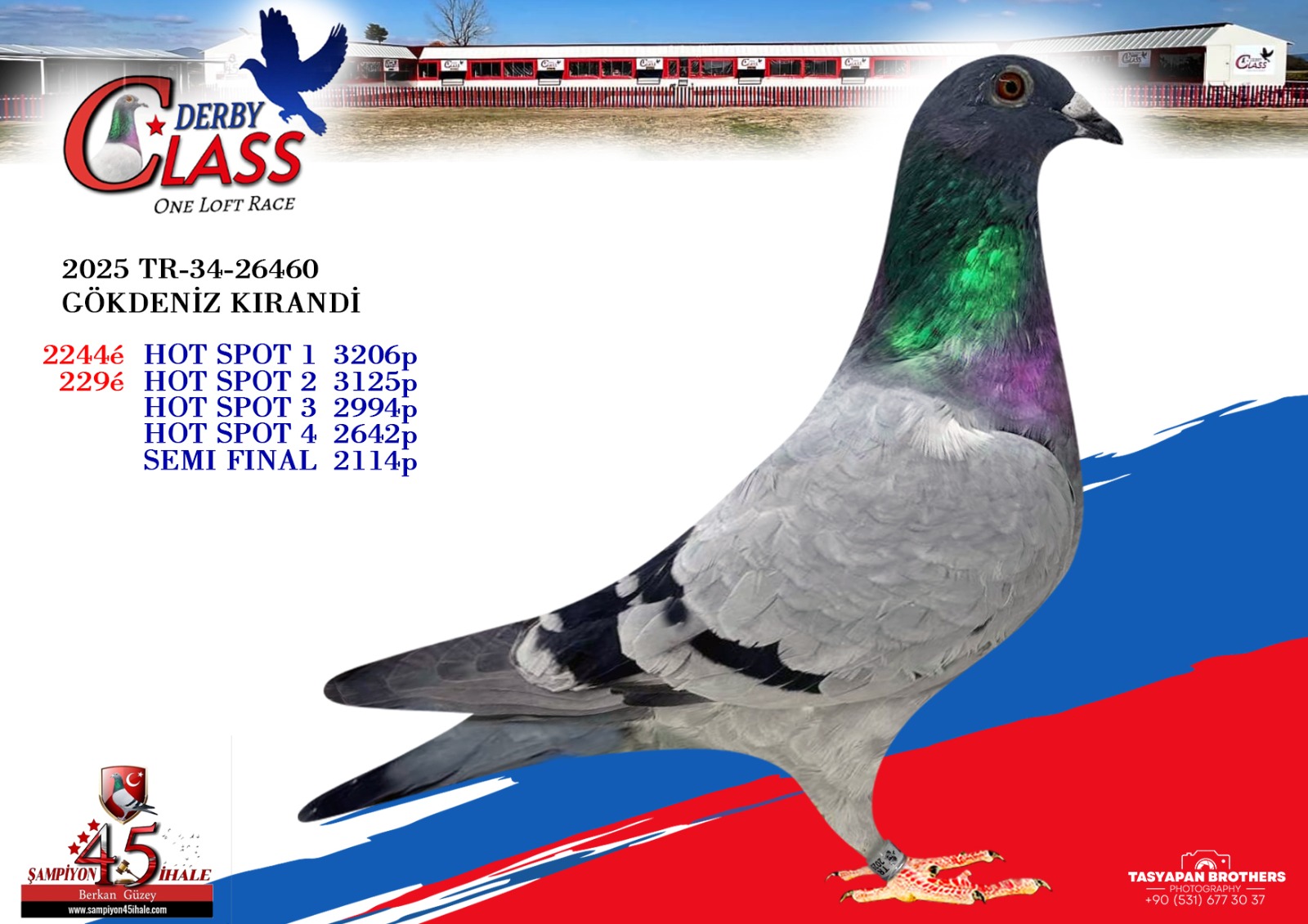 TR-34-26460 GÖKDENİZ KIRANDİ