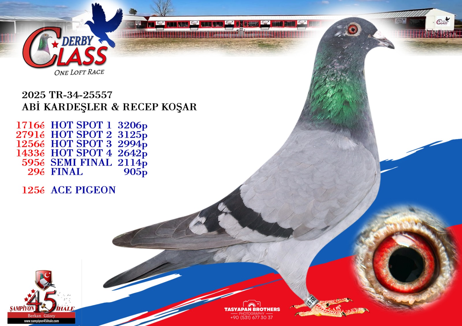 TR-34-25557 FİNAL 29 ACE PİGEON 125 ABİ KARDEŞLER RECEP KOŞAR