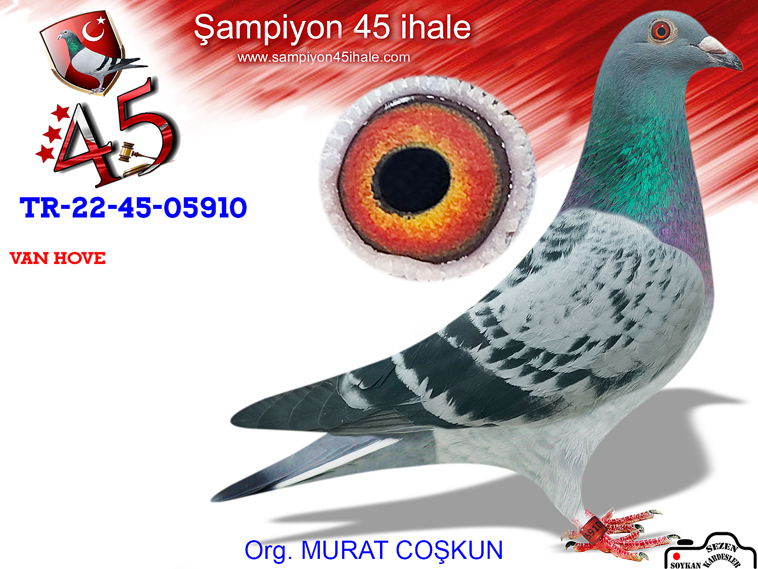 TR-22-45-05910 DİŞİ