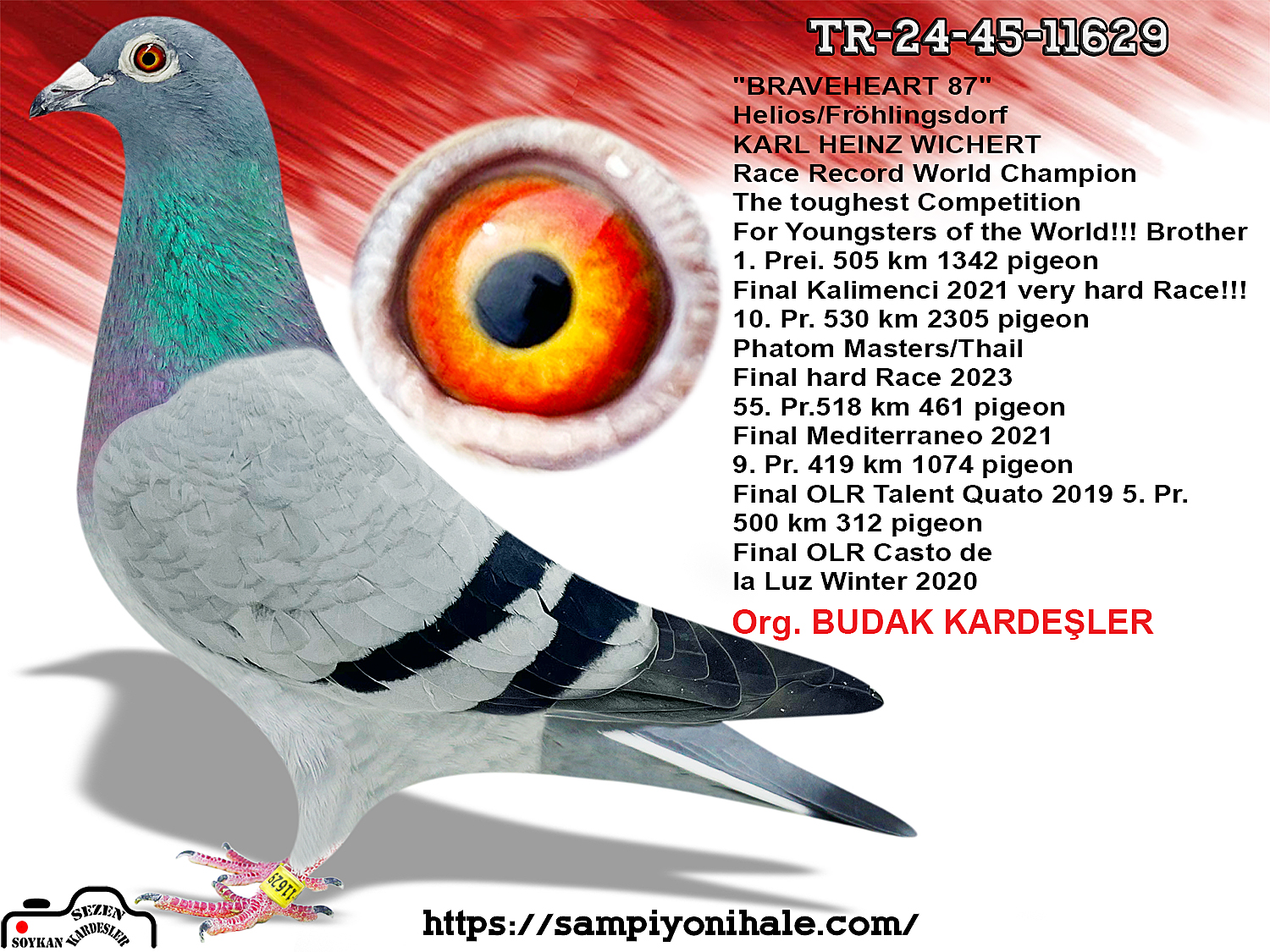 TR-24-45-11629 KARL HEINZ WİCHERT MISS PATTAYA SİMON WOLF