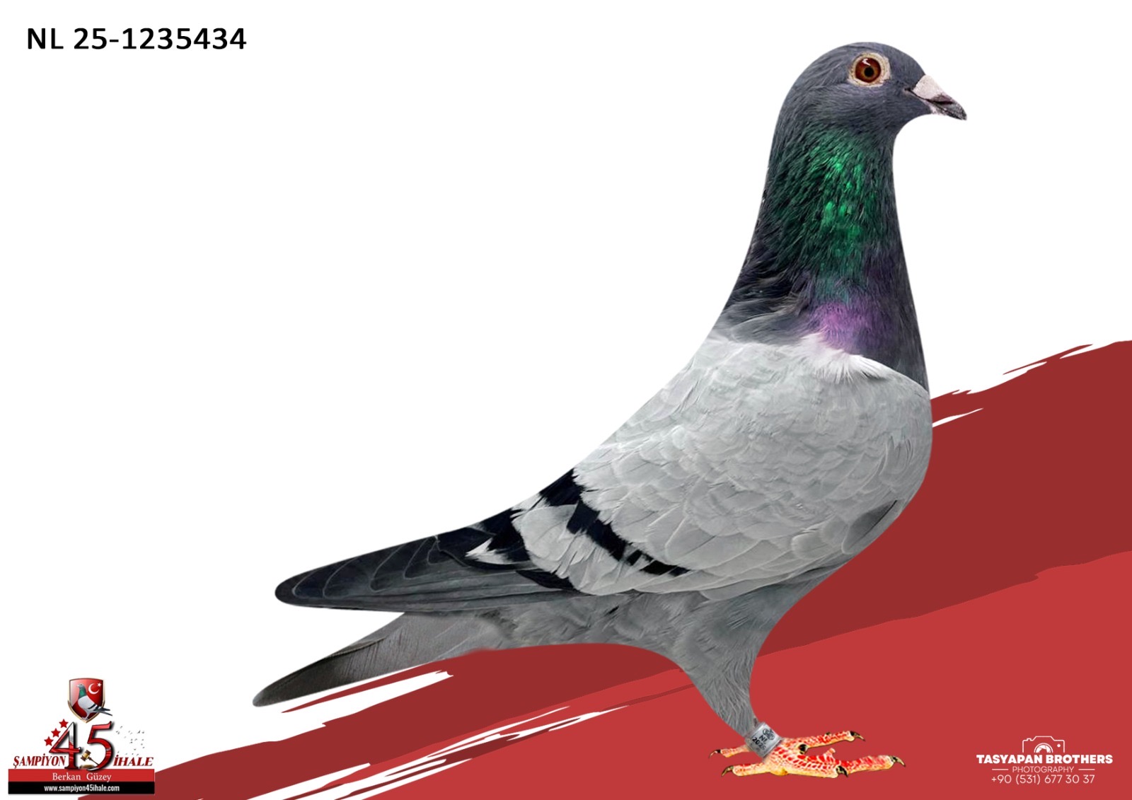 NL-25-1235434 ORG HALİL HASAN VICP & VICONTESA M.J.A. RODENRİJE