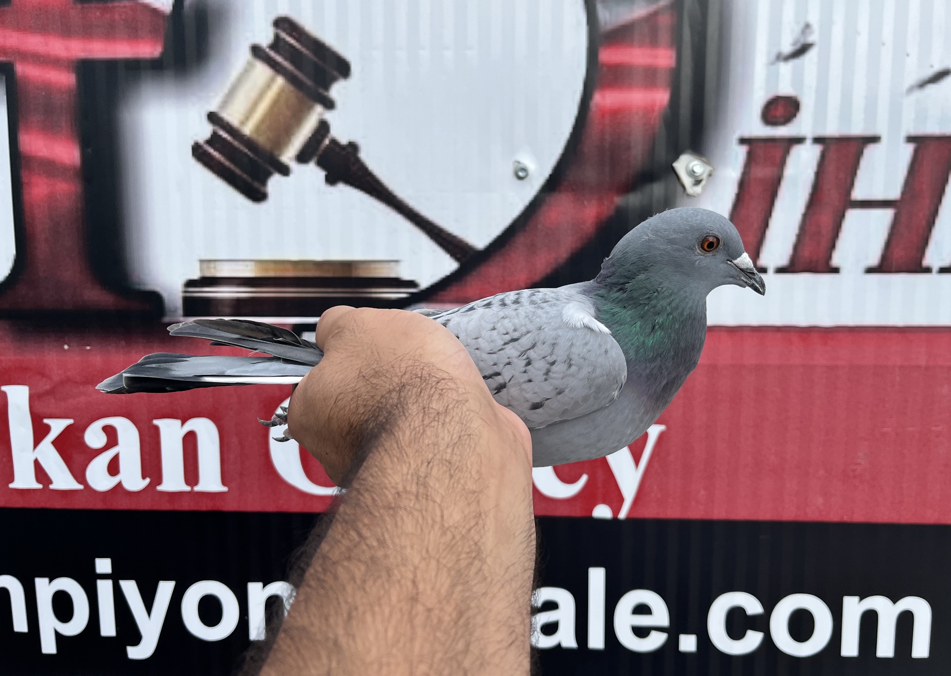 TR-25-16-20483 ORG SEZEN KARDEŞLER A.MEİ JBOOM % 100 