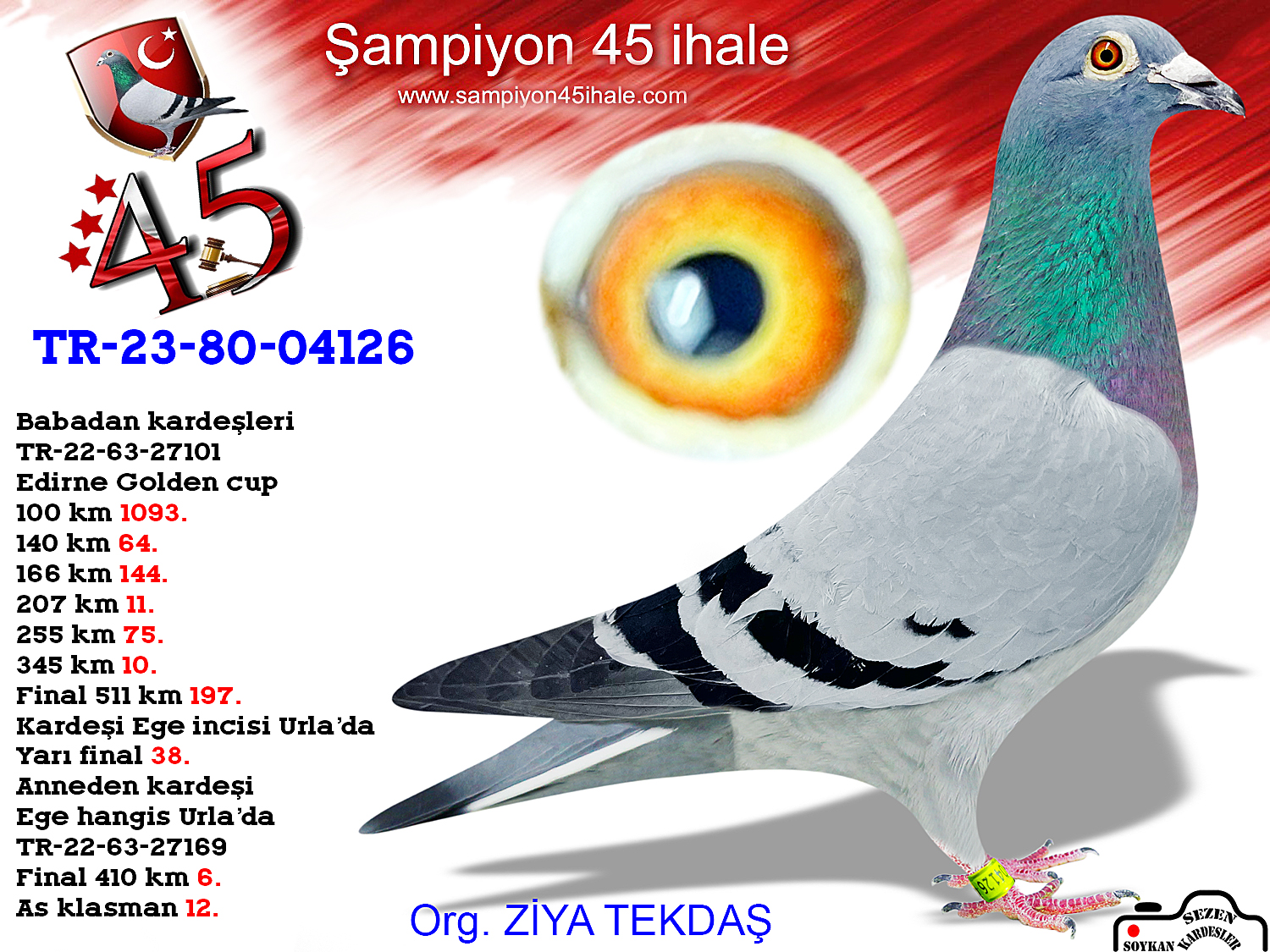 TR-23-80-04141 ERKEK 