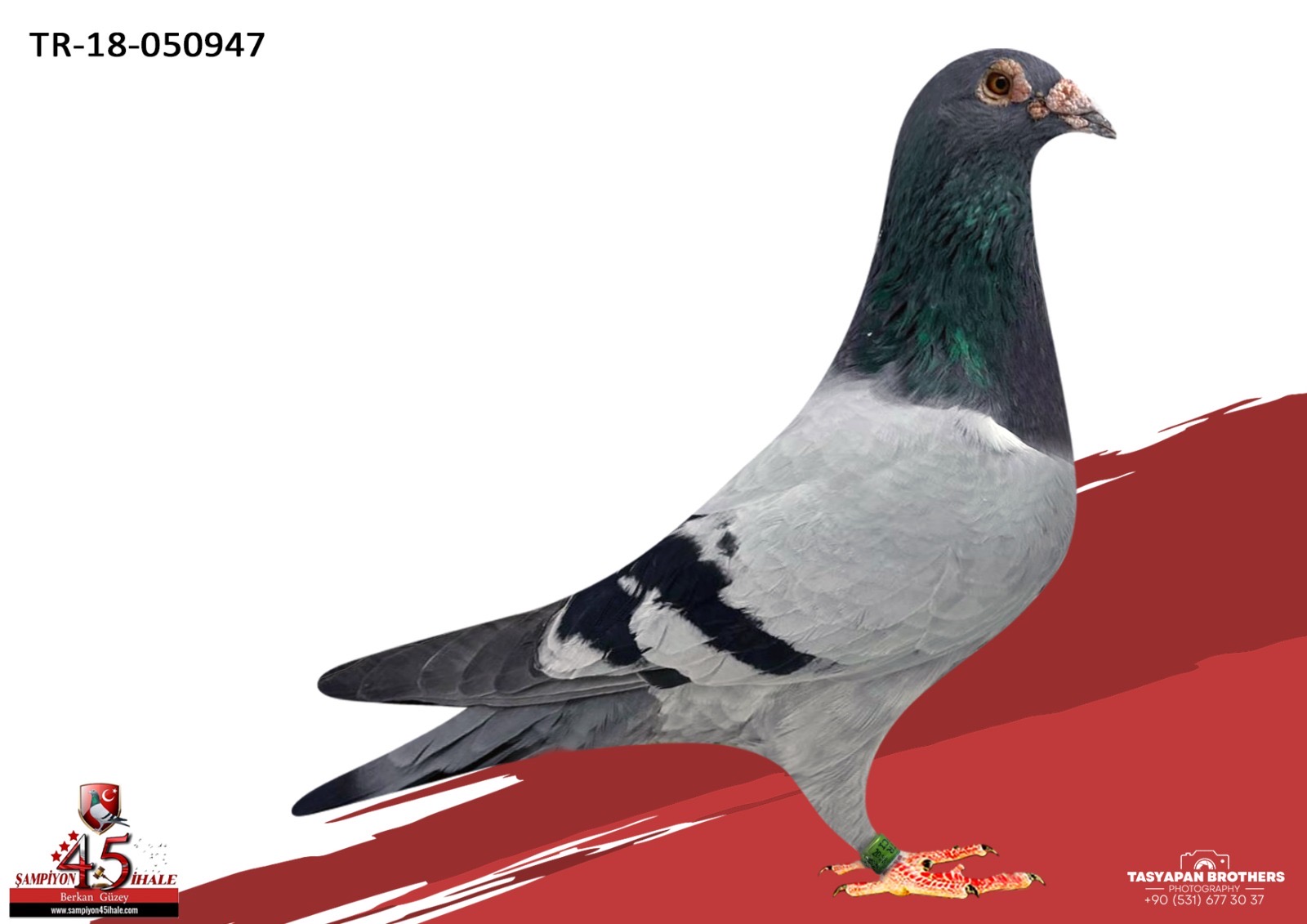 TR-18-05947 ORG MURAT H.GÜMÜŞ VAN LOON LEO HEREMANS