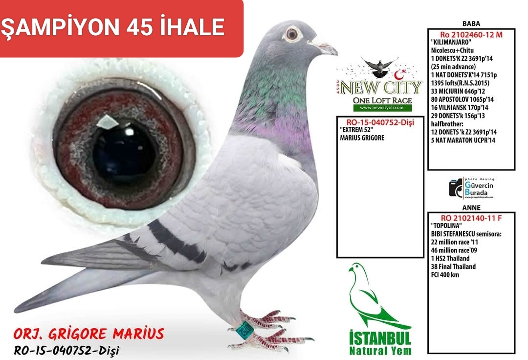 RO-15-040752 DİŞİ