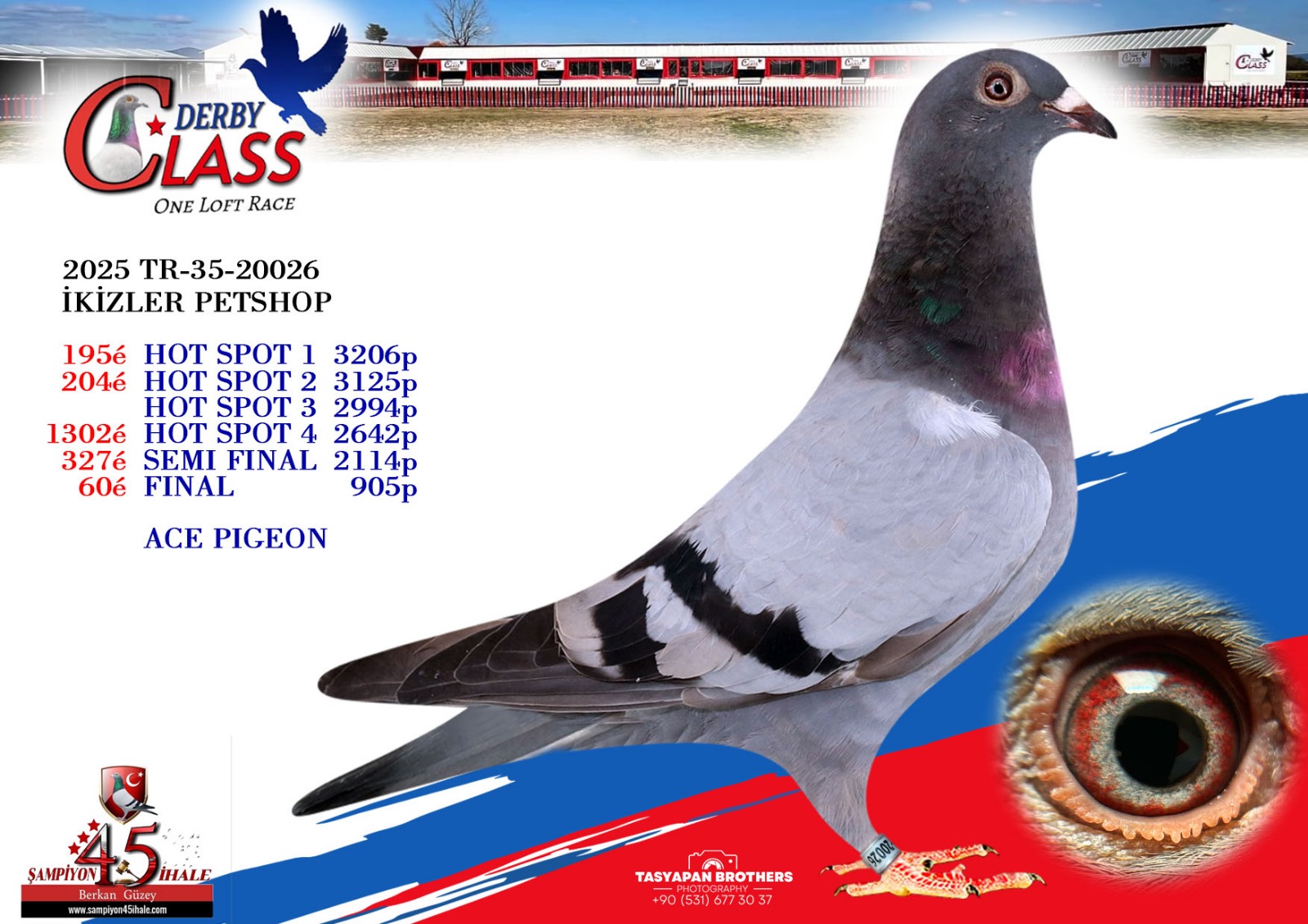 TR-35-20026 İKİZLER PETSHOP