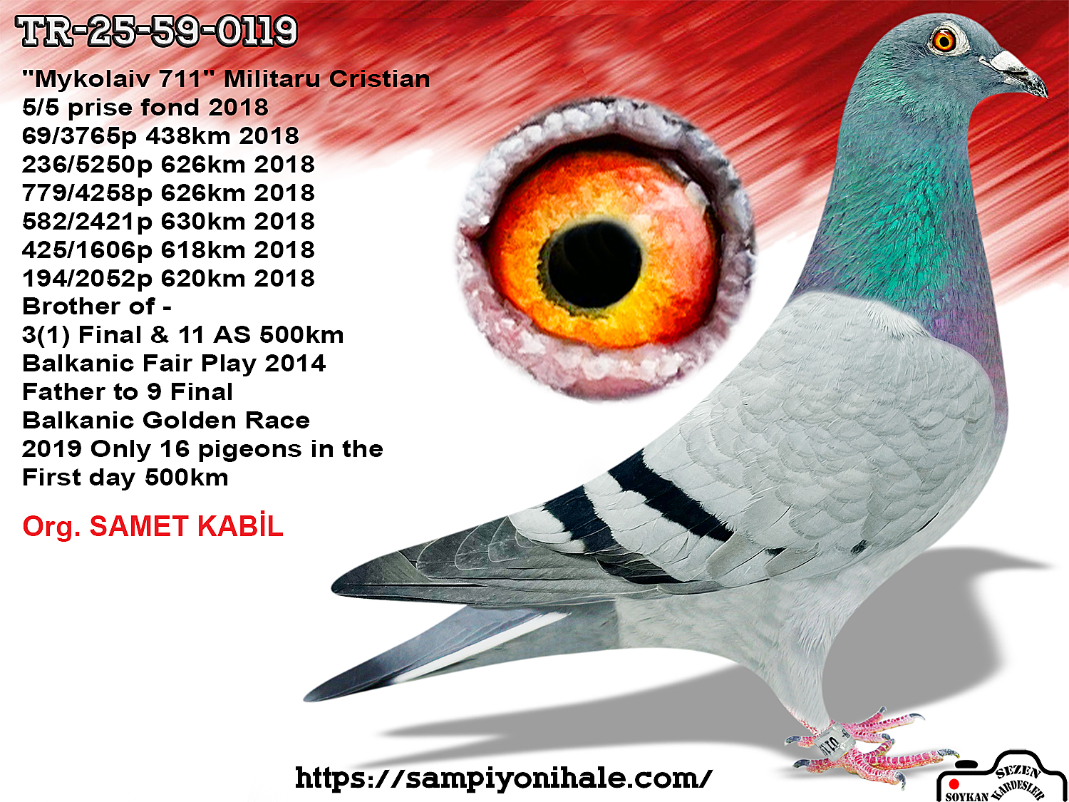 TR-25-59-0119 GANUS FAMİLY LOFT SCHONE RAKET 