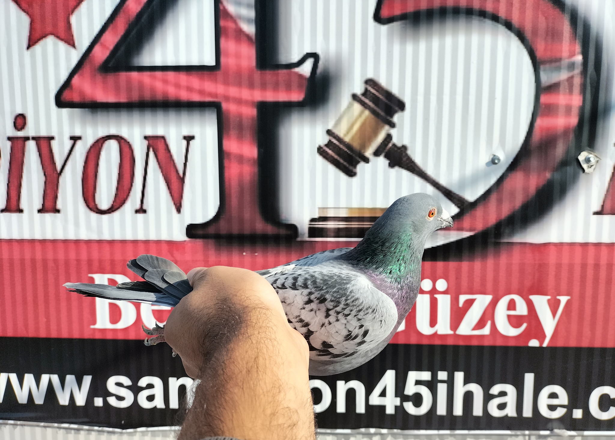 TR-25-80-2930 ORG POSTALI KADİR