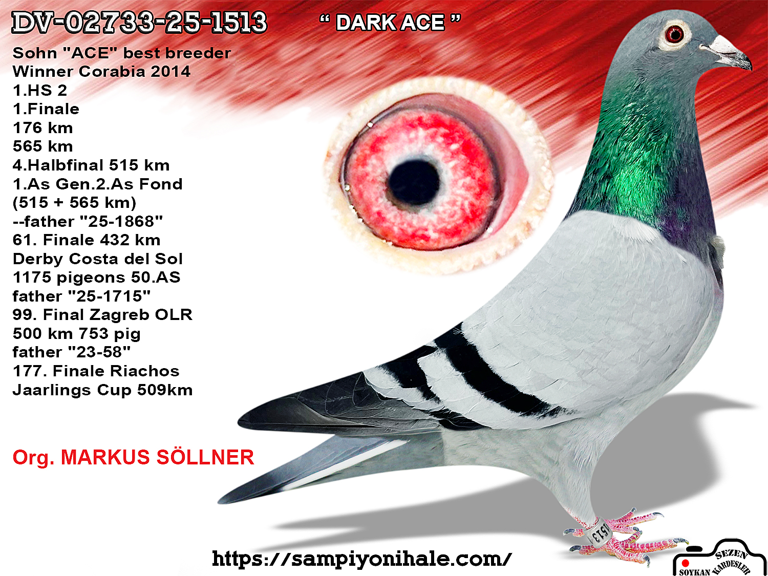 DV-02733-25-1513 MARKUS SÖLLNER 