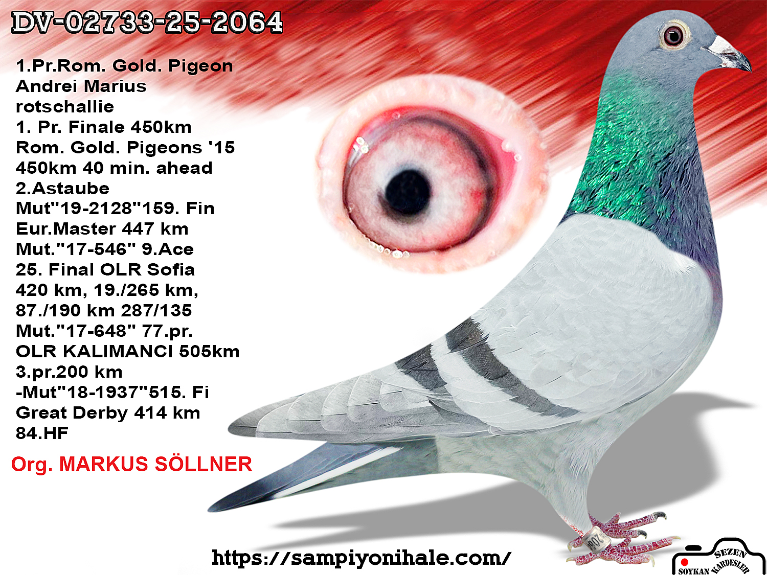 DV-02733-25-2064 MARKUS SÖLLNER 