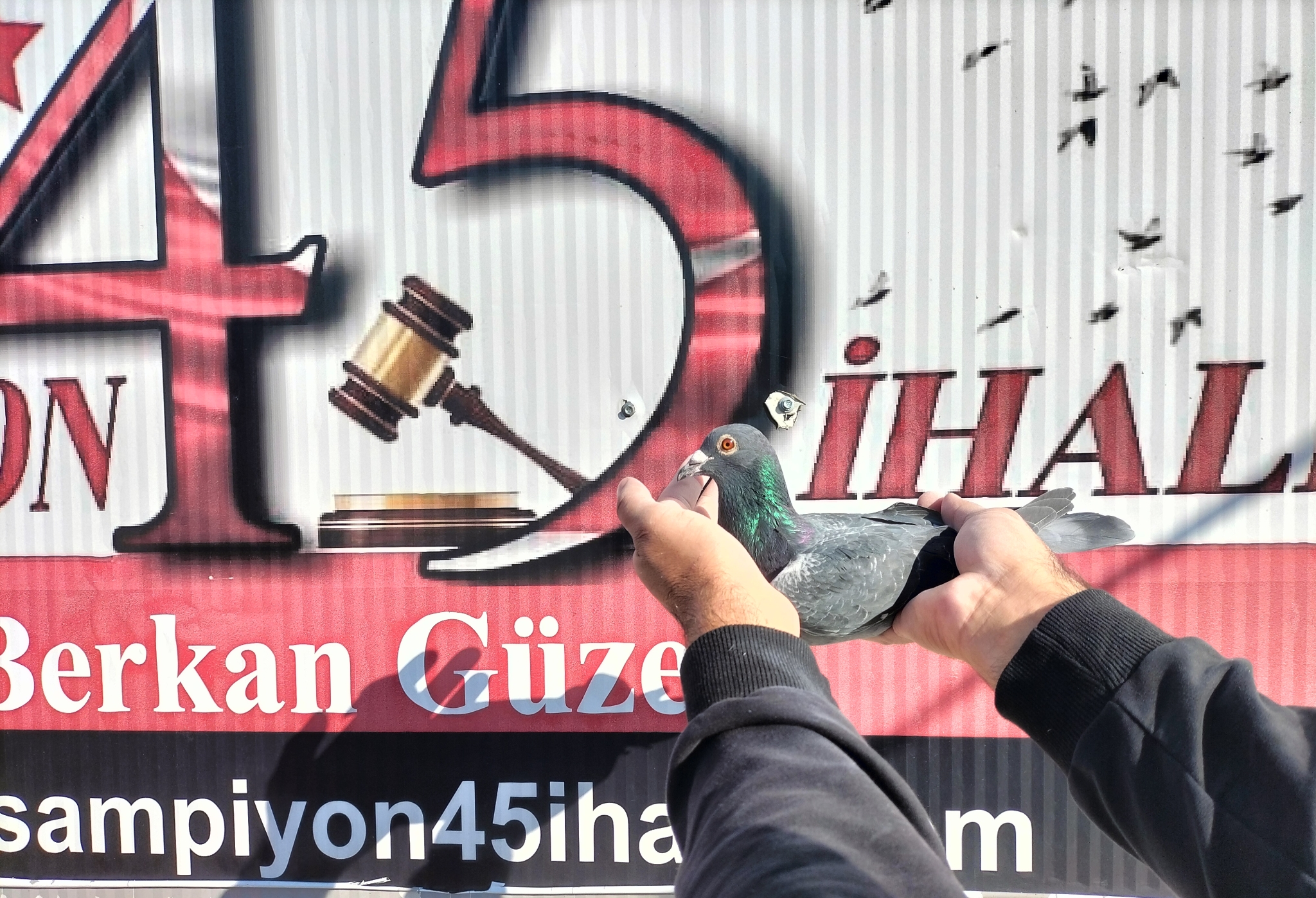 TR-25-21-15601 ORG İSMAİL YAĞMA