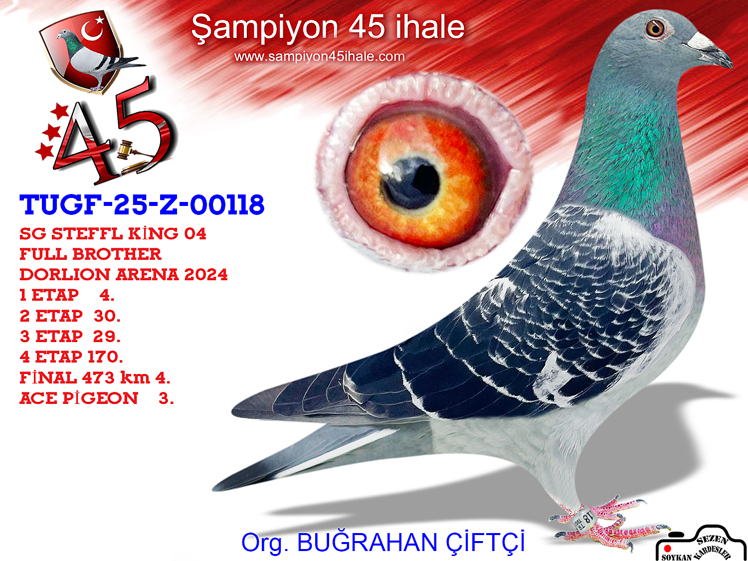 TUGF-Z-00118 SG STEFFL HARDY KRÜGER 