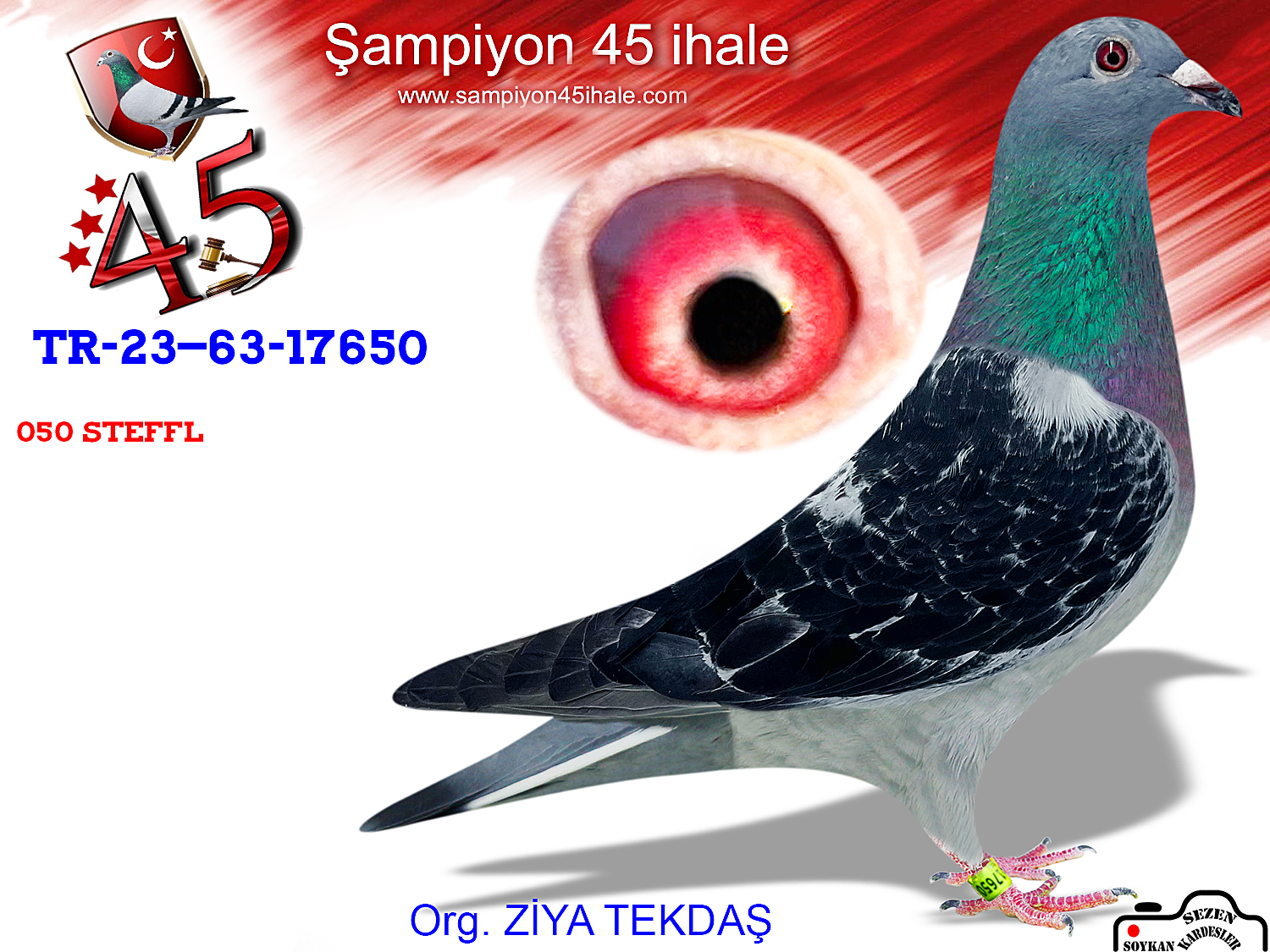 TR-23-63-17650 DİŞİ