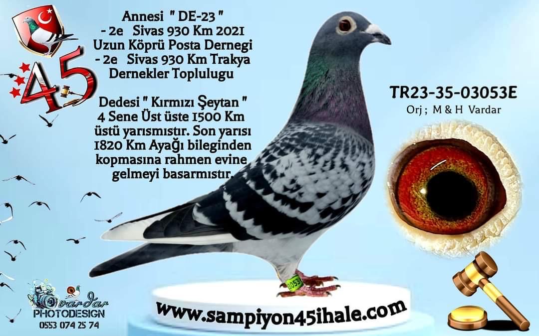 TR-23-35-03053 VARDAR KARDEŞLER MARATON DEVİ 